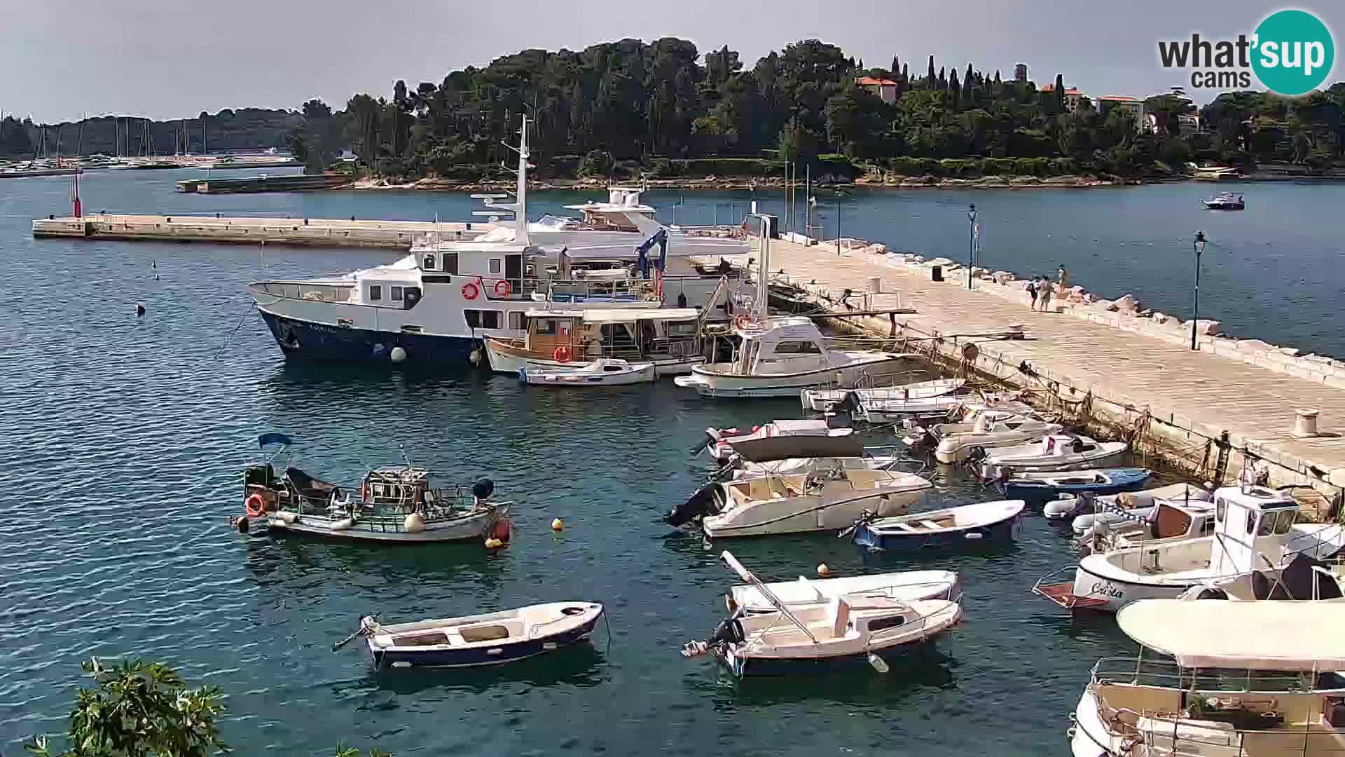 Rovinj webcam promenade and marina – Istria – Croatia