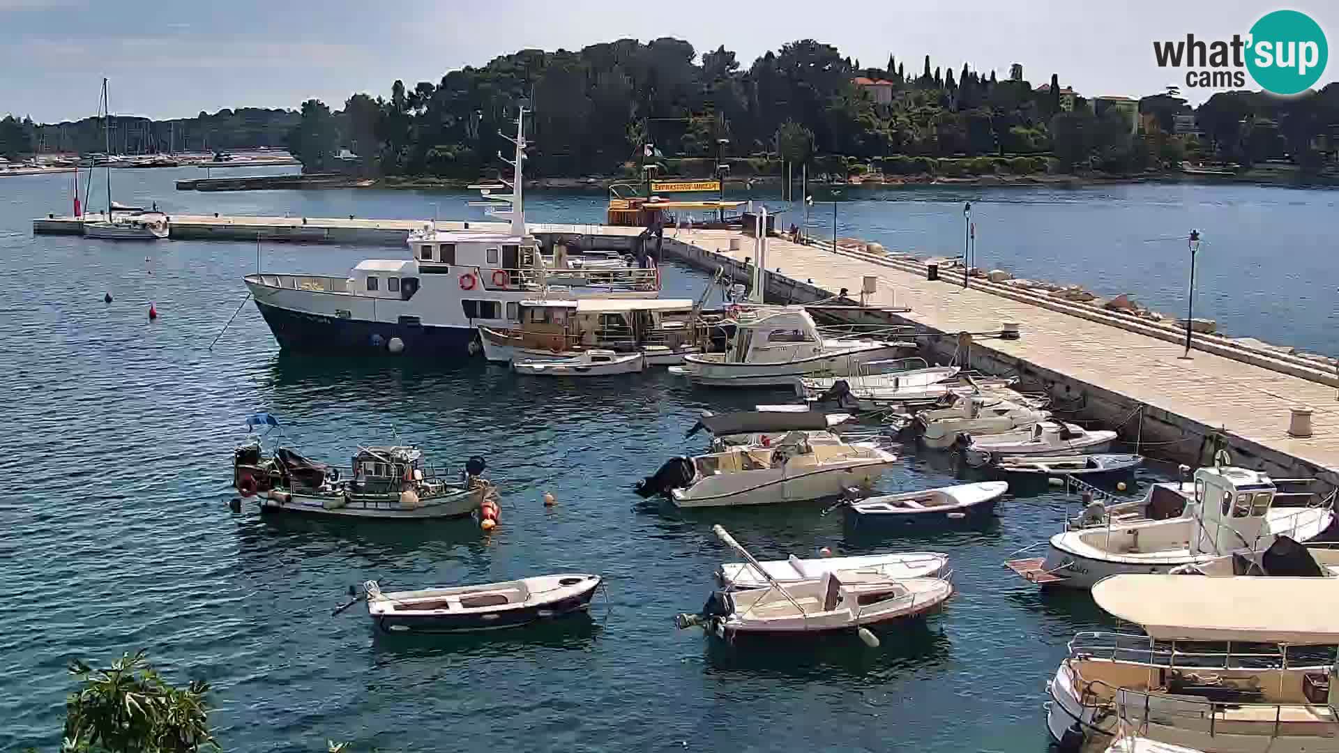 Lungomare e marina a Rovigno – Webcam motorizzata