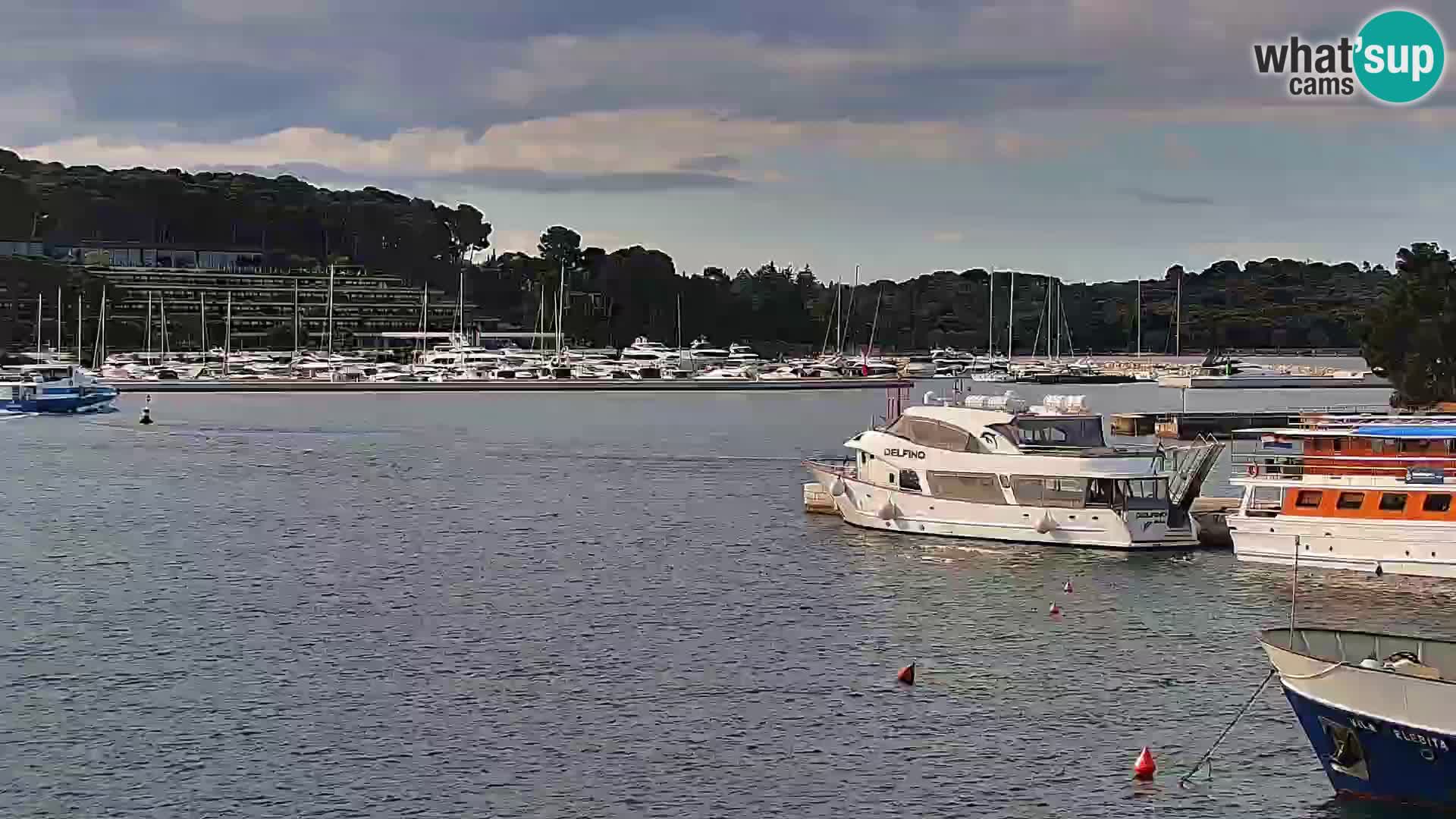 Promenade e marina en Rovinj