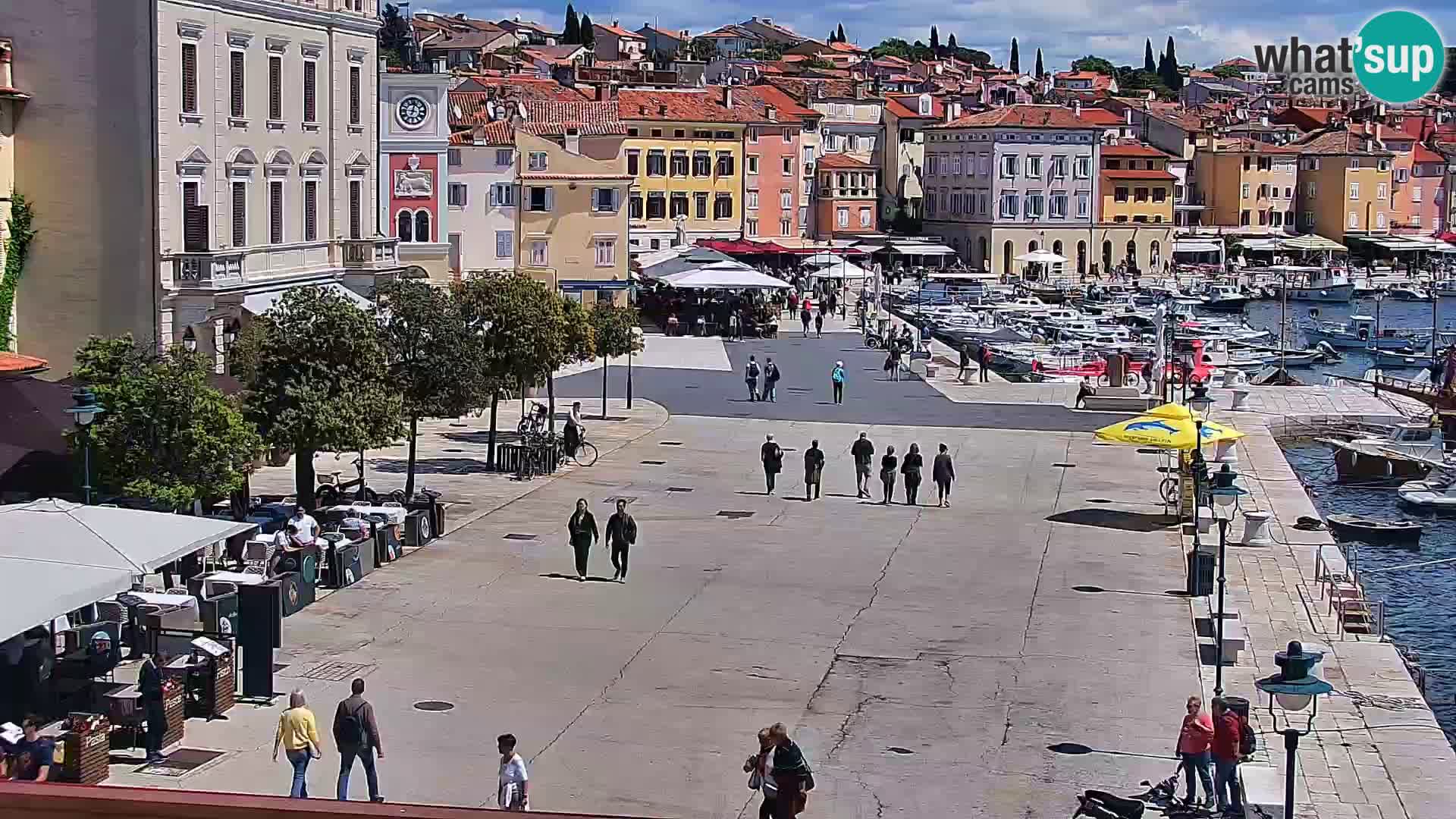 Webcam Rovigno marina | Lungomare | Rovinj Croazia