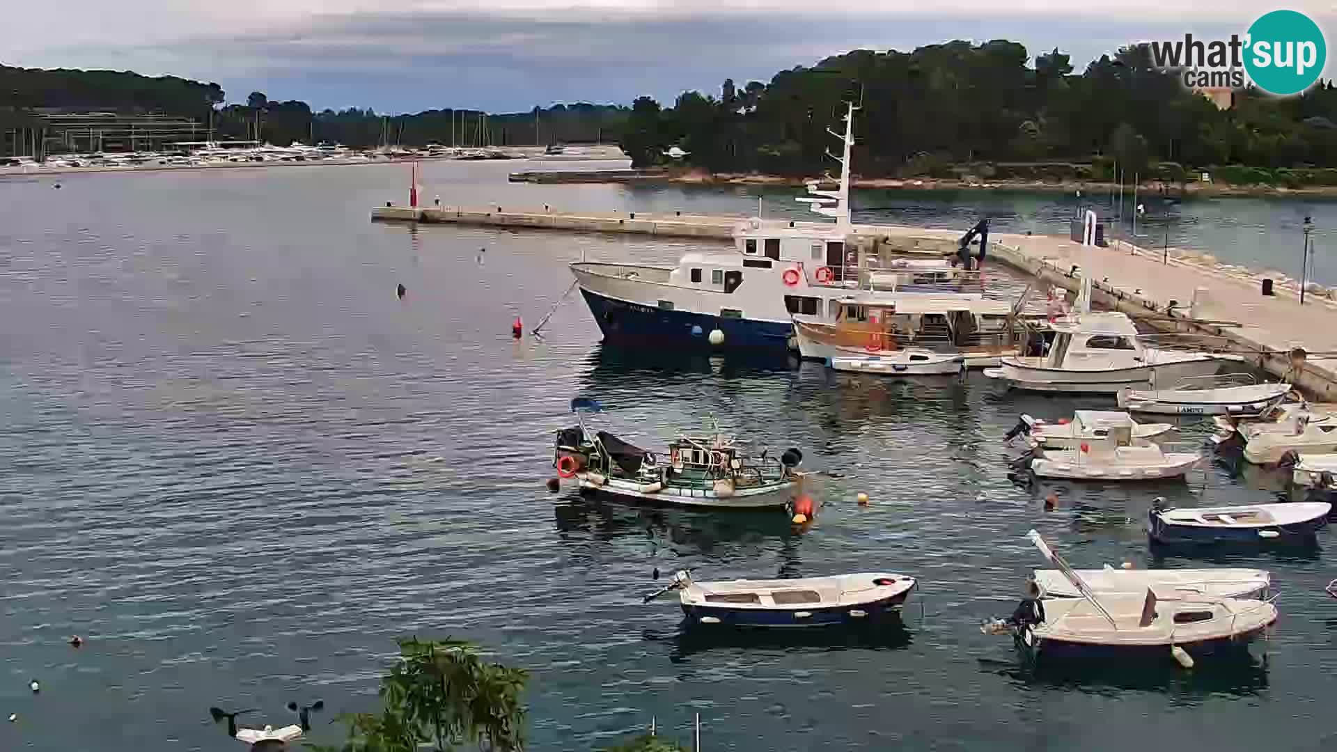 Rovinj webcam promenade and marina – Istria – Croatia
