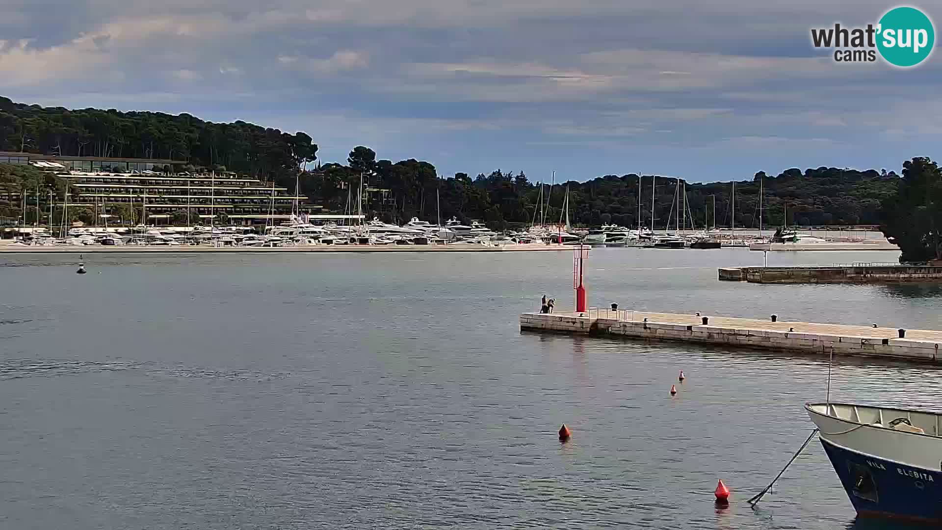 Rovinj webcam promenade and marina – Istria – Croatia