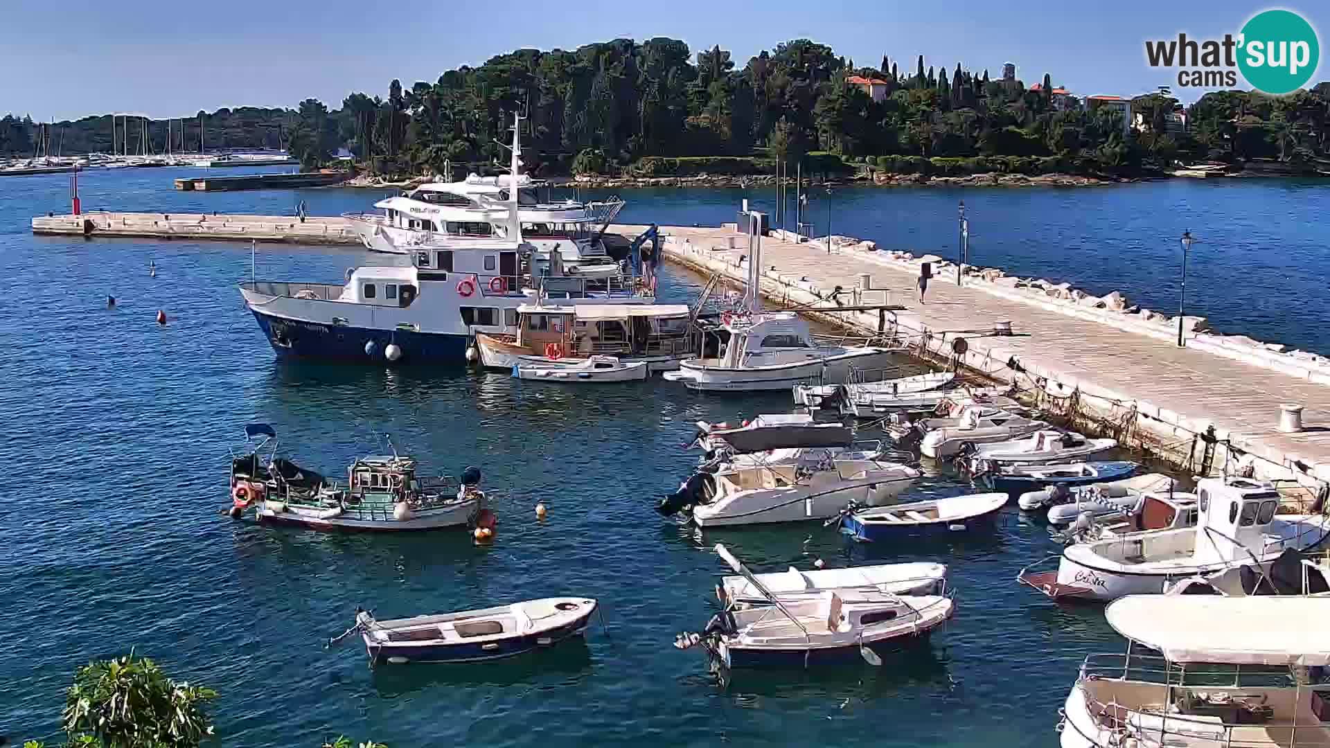 Spletna kamera Rovinj promenada in marina | Rovinj Vreme