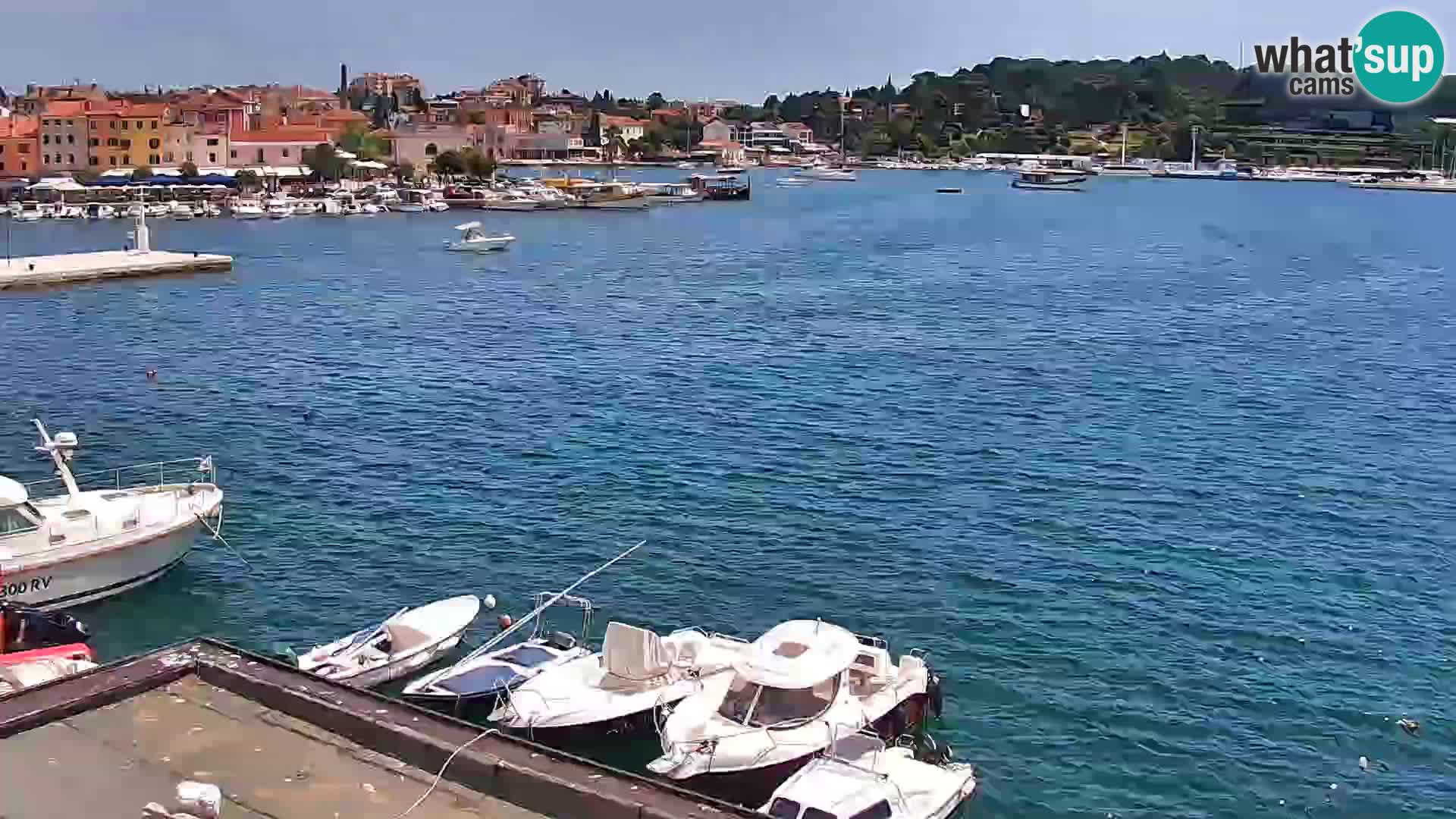 Promenade und marina in Rovinj webcam – Istrien – Kroatien