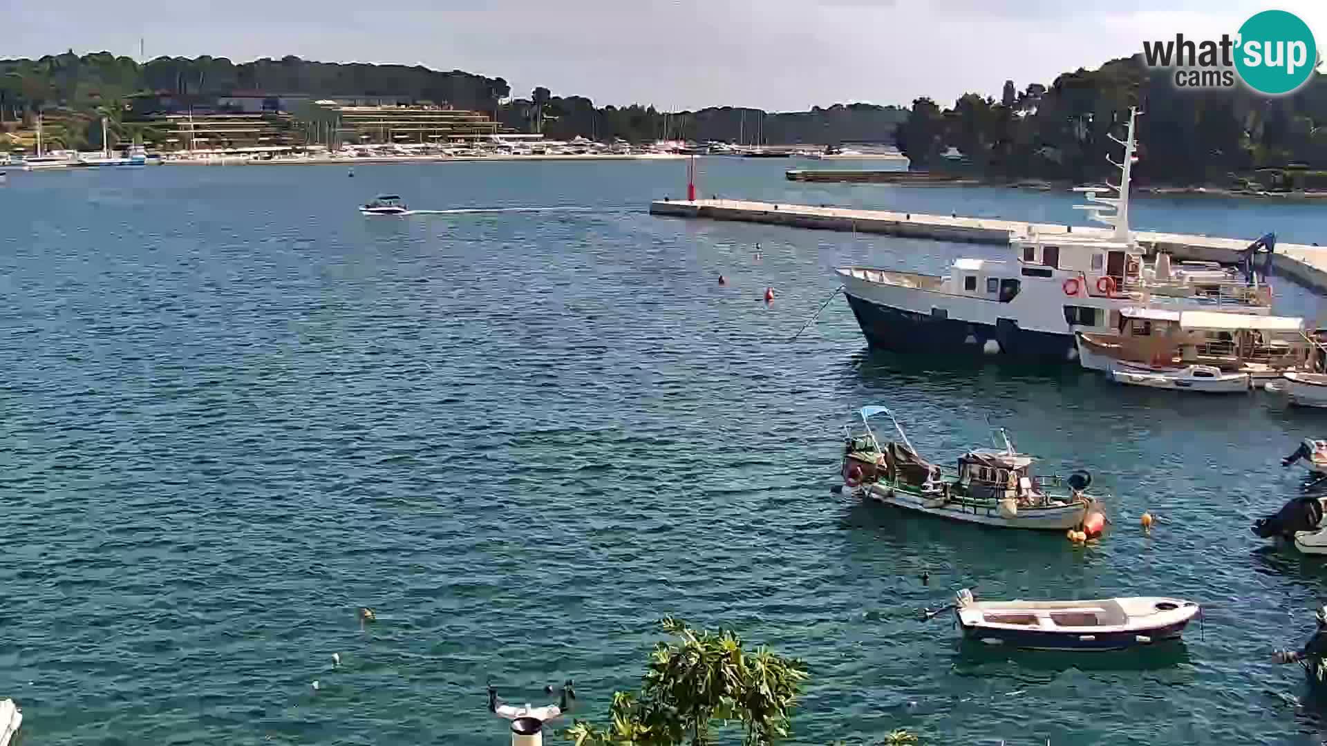 Spletna kamera Rovinj promenada in marina | Rovinj Vreme