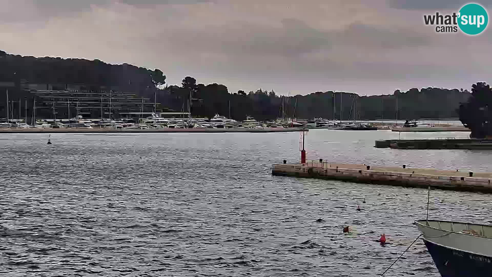 Promenade und marina in Rovinj webcam – Istrien – Kroatien