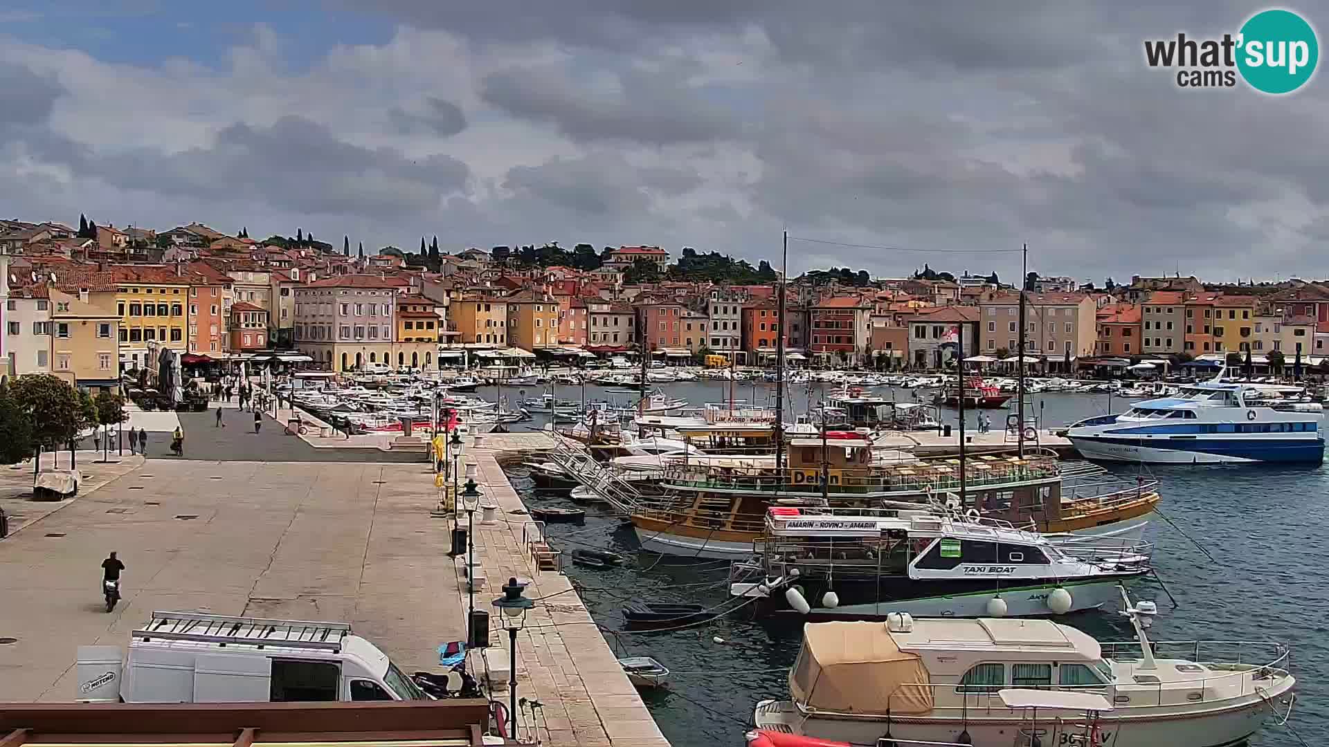 Promenade e marina en Rovinj