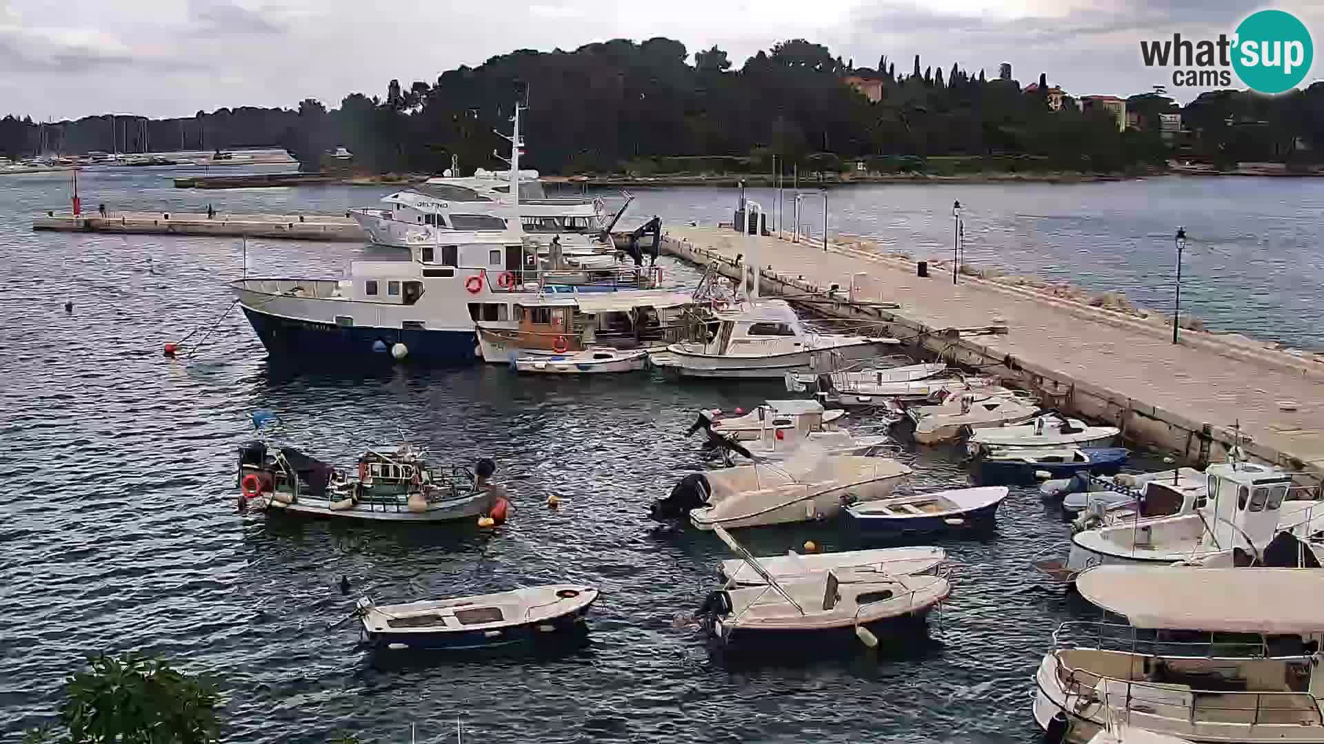Webcam Rovinj Promenade – Istrien – Kroatien