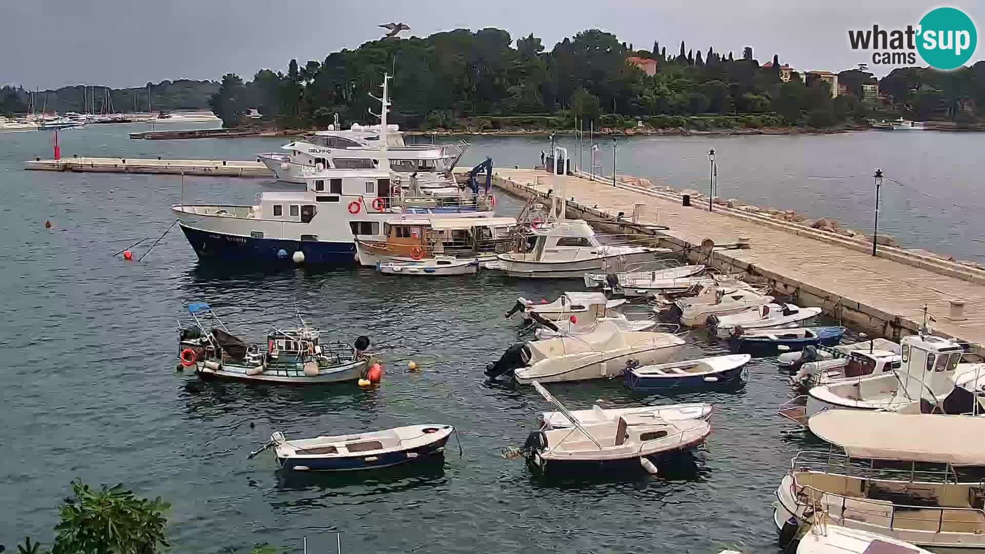 Promenade e marina en Rovinj