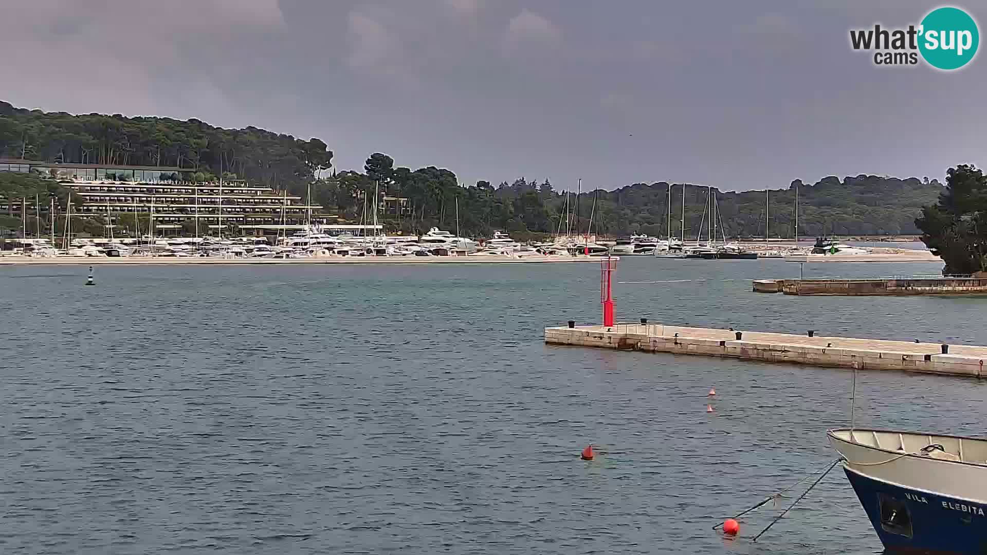Rovinj webcam promenade and marina – Istria – Croatia