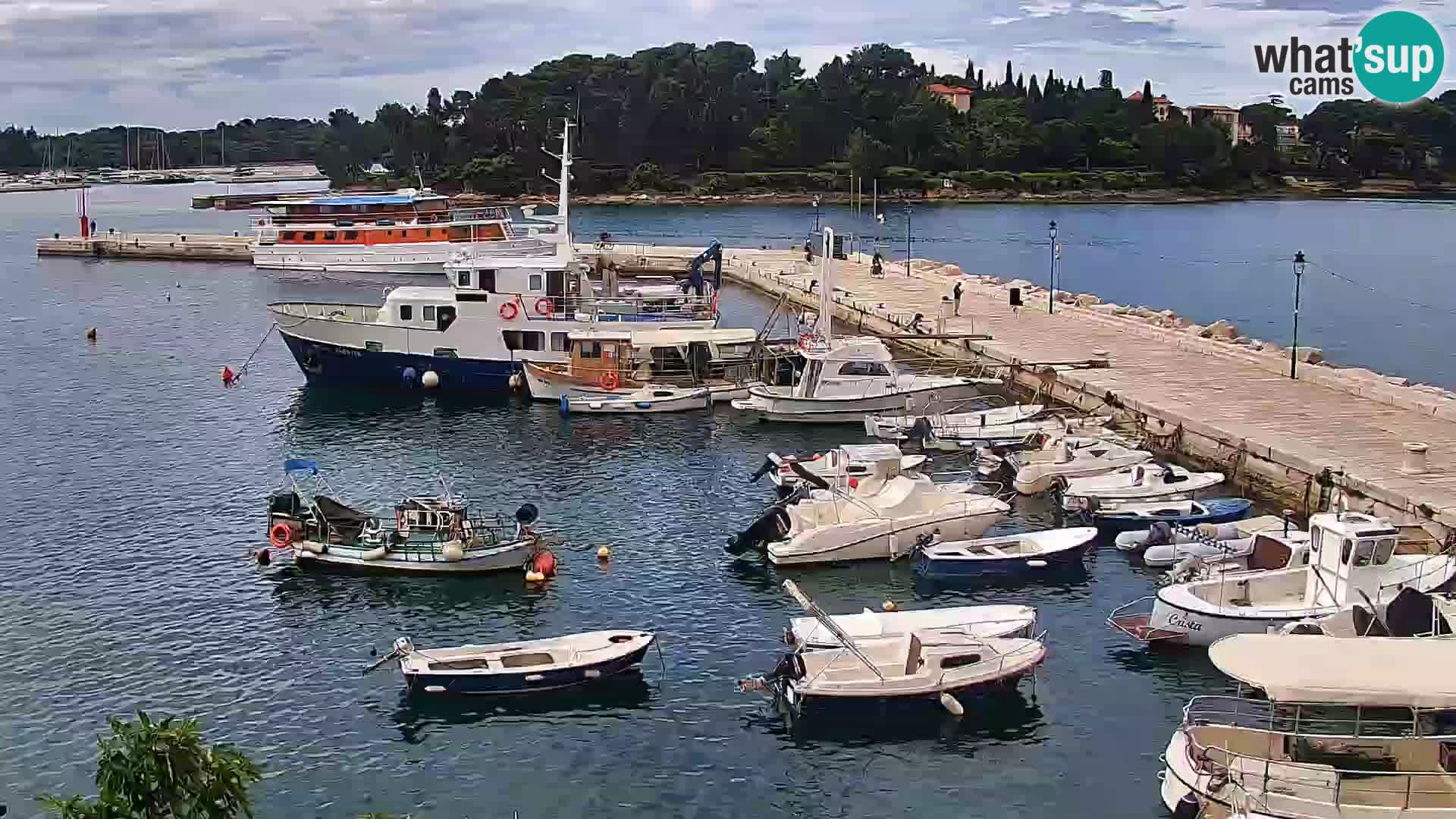 Lungomare e marina a Rovigno – Webcam motorizzata