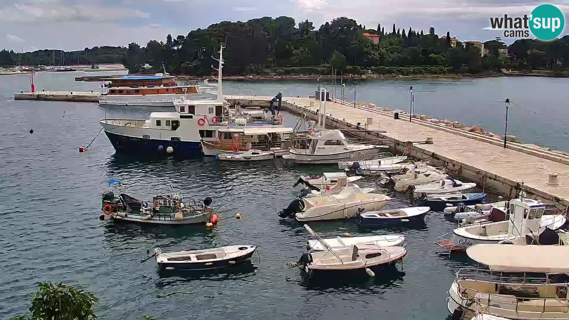 Webcam Rovigno marina | Lungomare | Rovinj Croazia