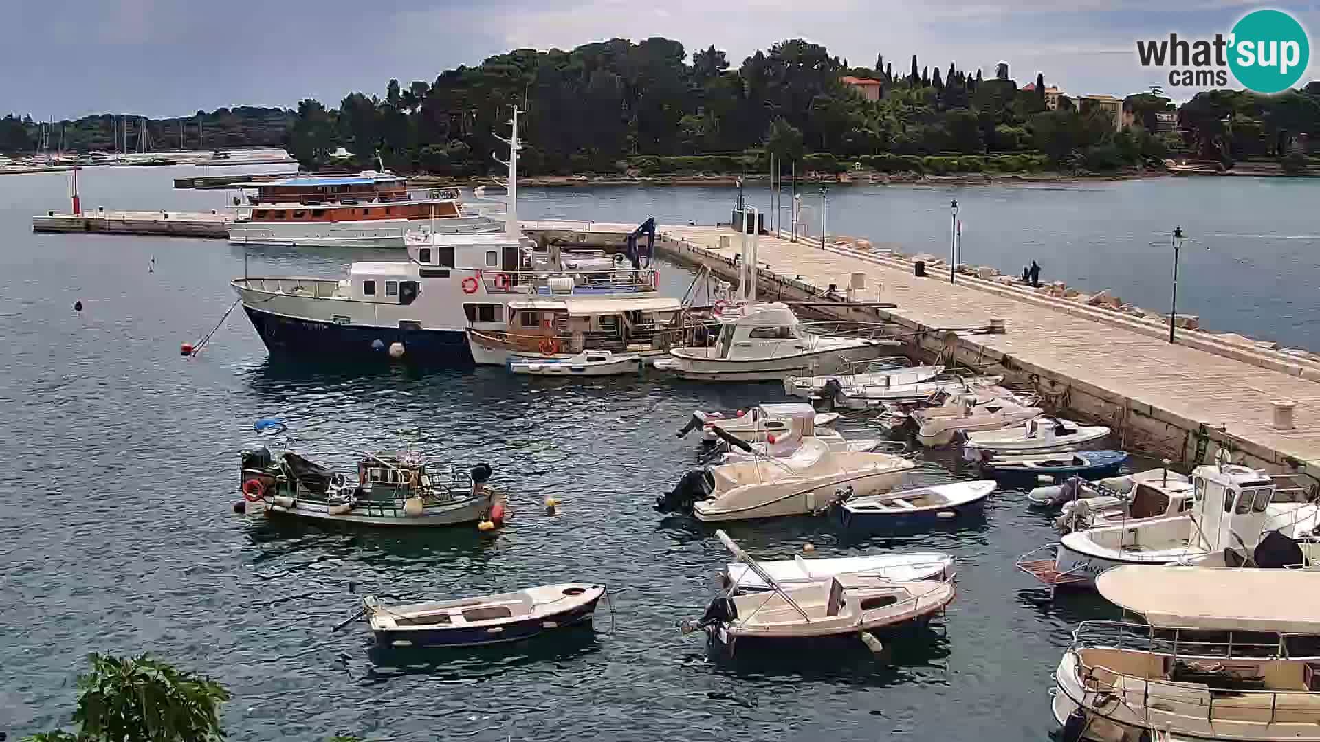 Lungomare e marina a Rovigno – Webcam motorizzata