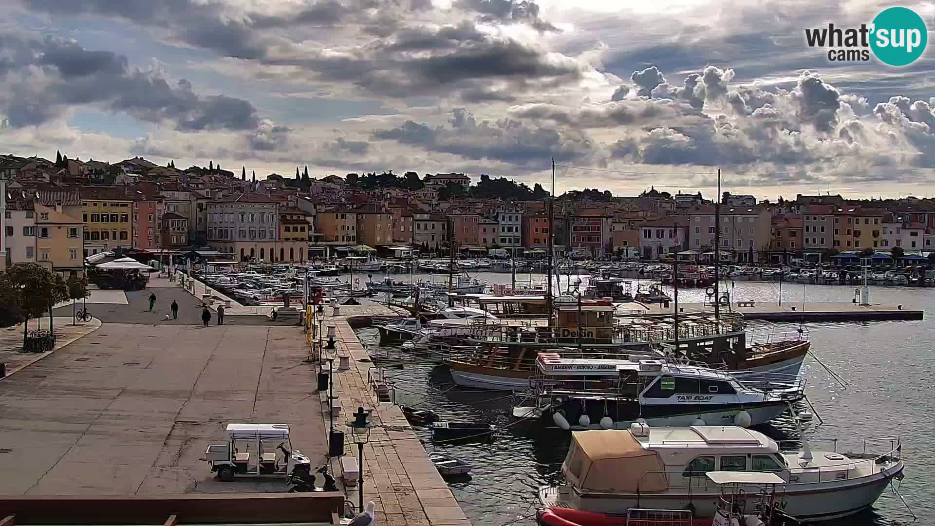 Webcam Rovigno marina | Lungomare | Rovinj Croazia