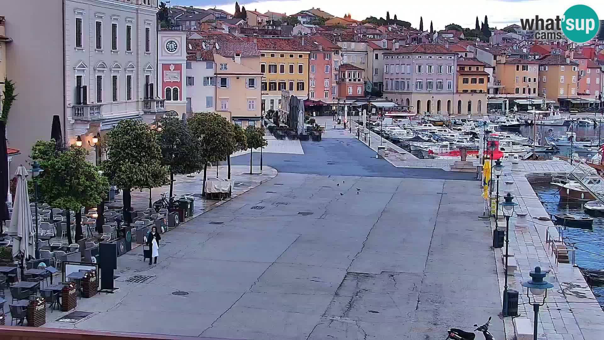 Lungomare e marina a Rovigno – Webcam motorizzata