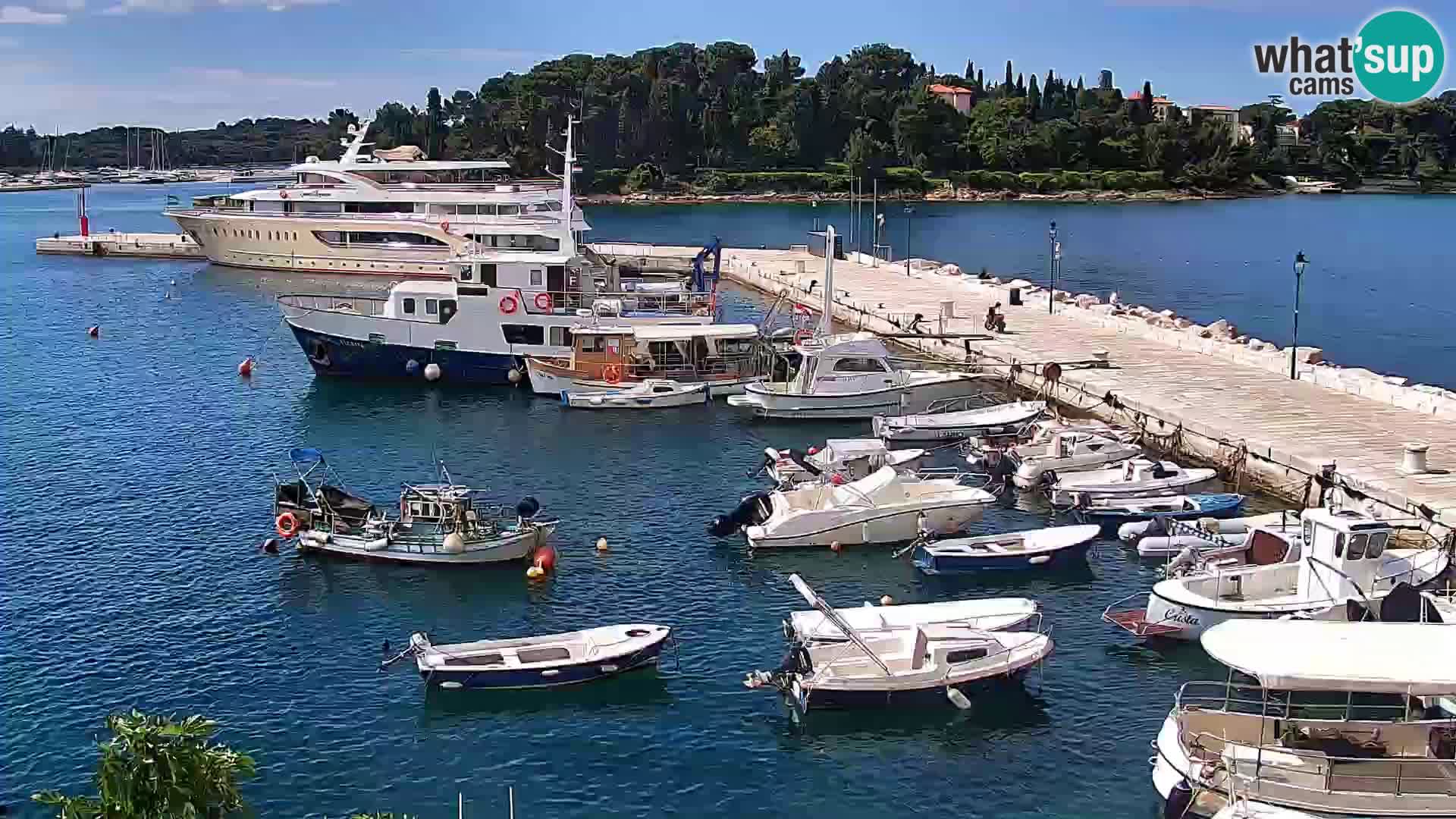 Promenada in marina v Rovinju