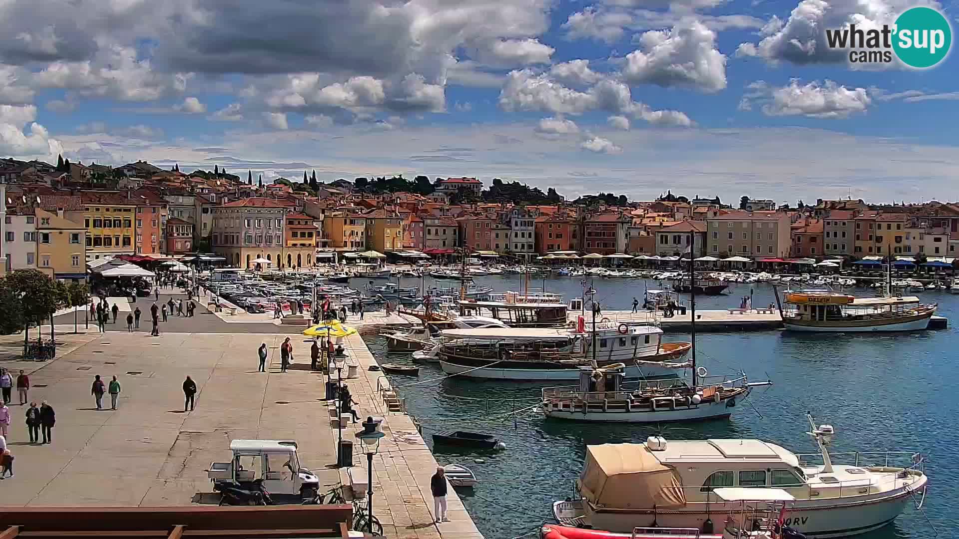 Rovinj webcam promenade and marina – Istria – Croatia