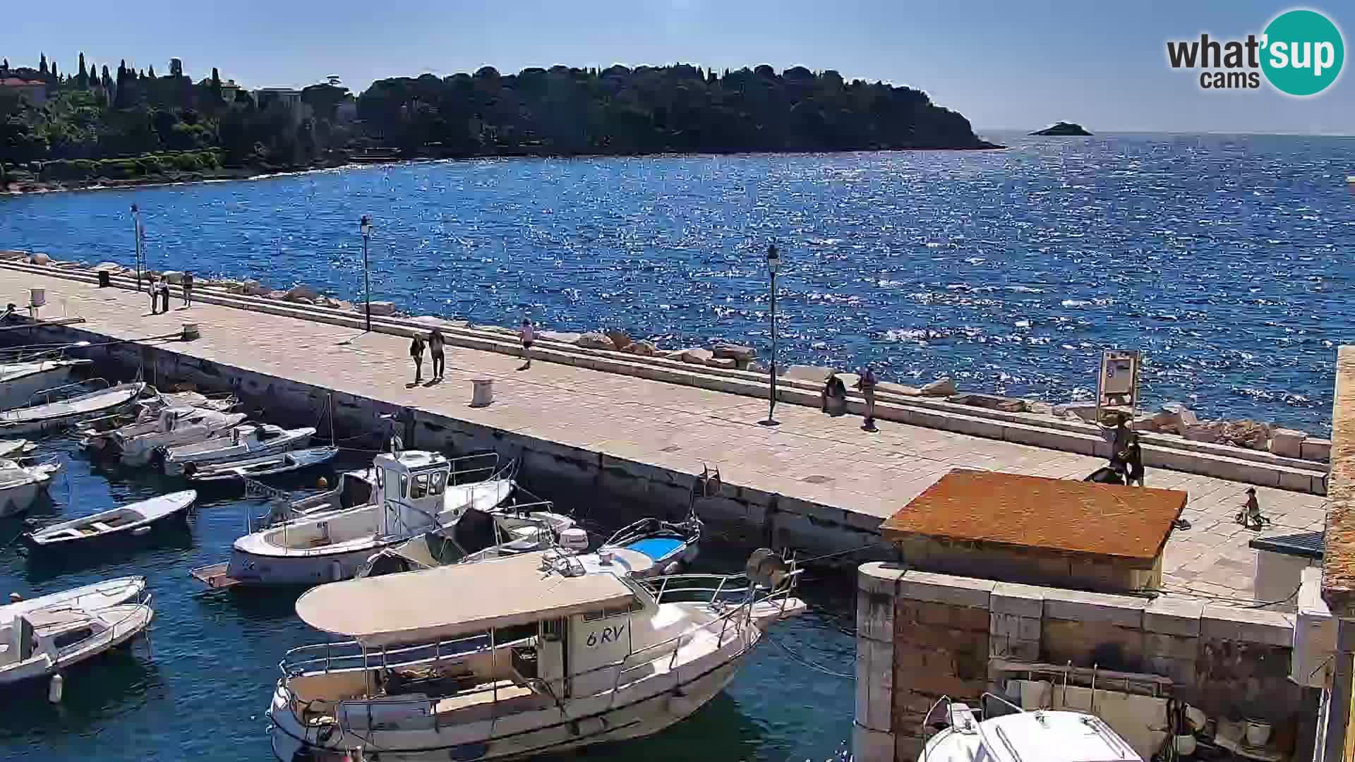 Rovinj webcam promenade and marina – Istria – Croatia