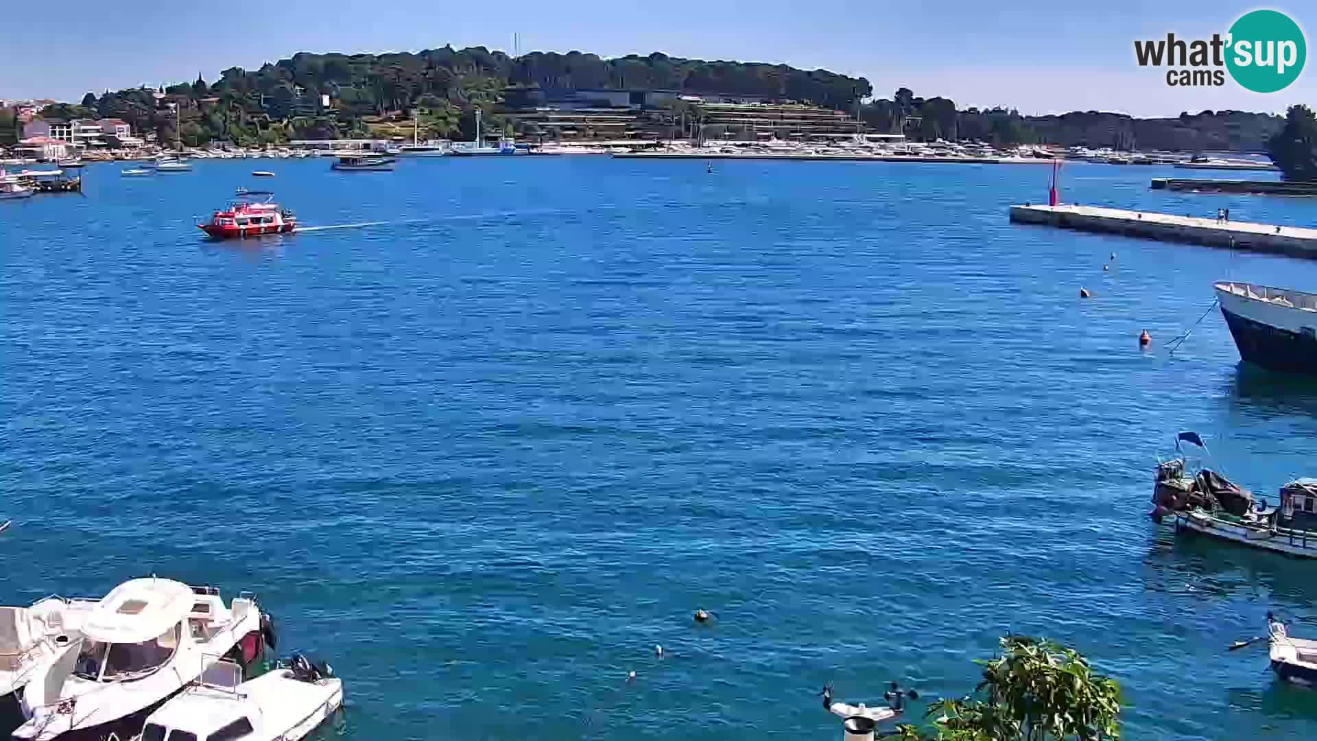 Webcam Rovinj Promenade – Istrien – Kroatien