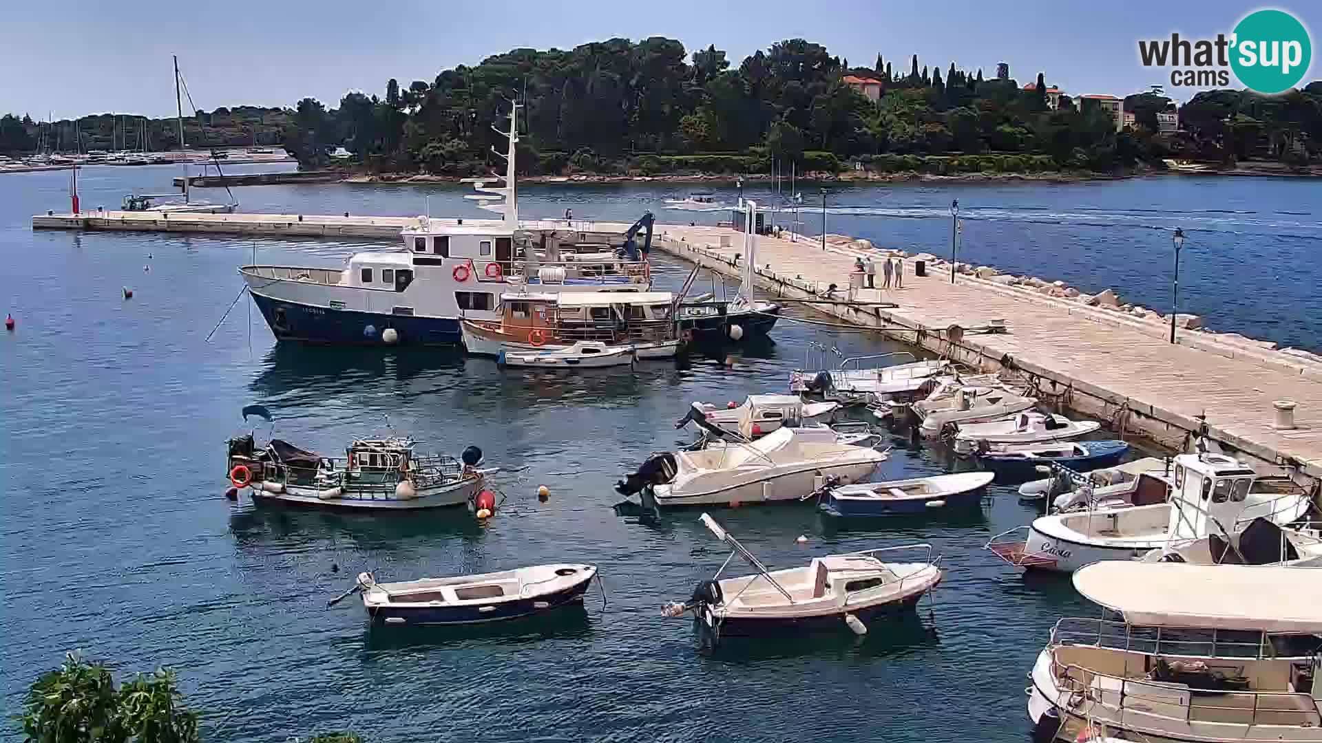 Seaside promenade and marina in Rovinj webcam – Istria – Croatia