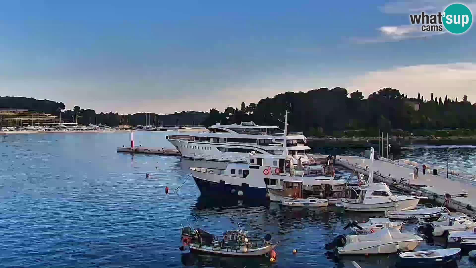 Promenada i marina u Rovinju