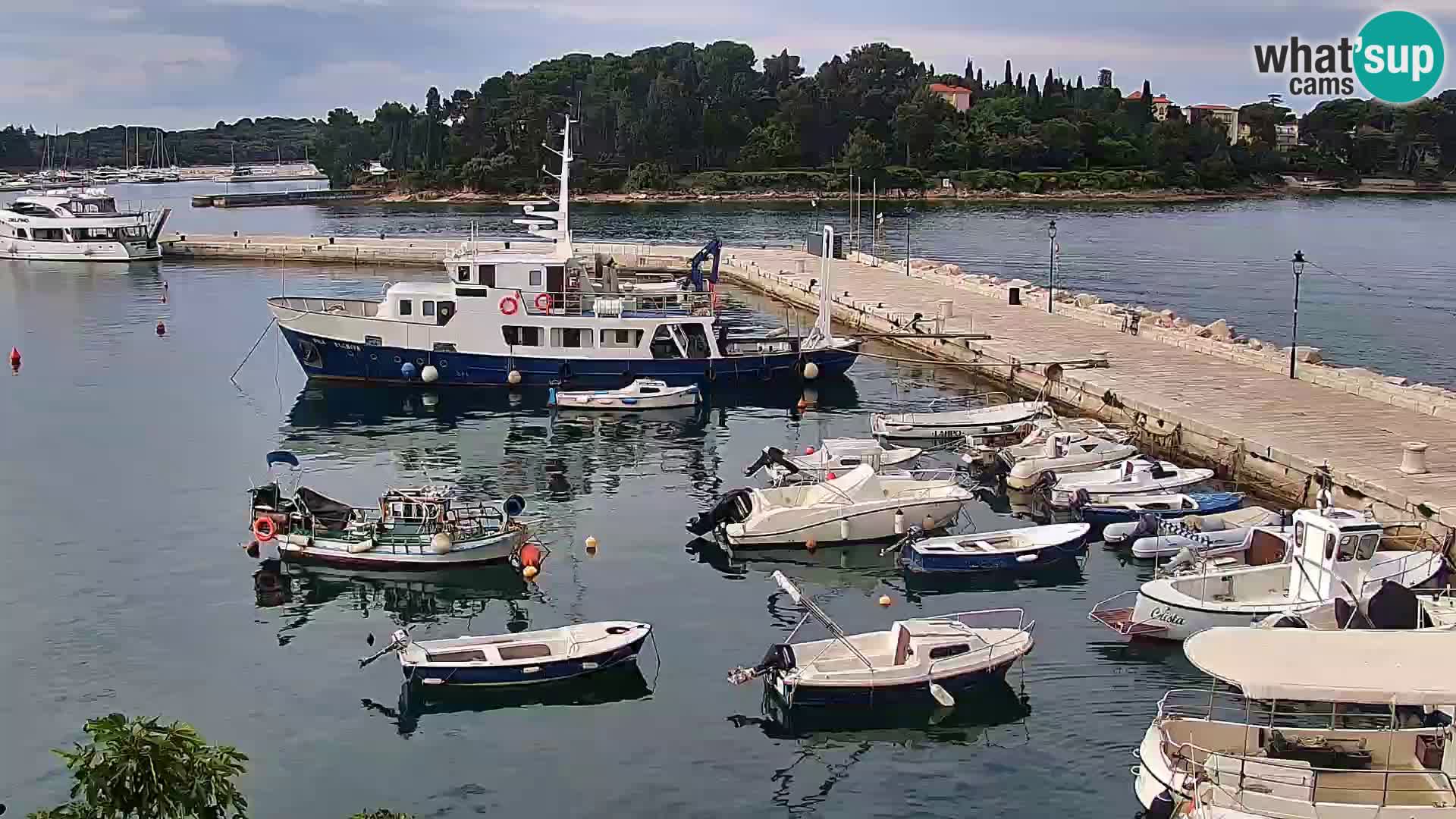 Promenada in marina v Rovinju