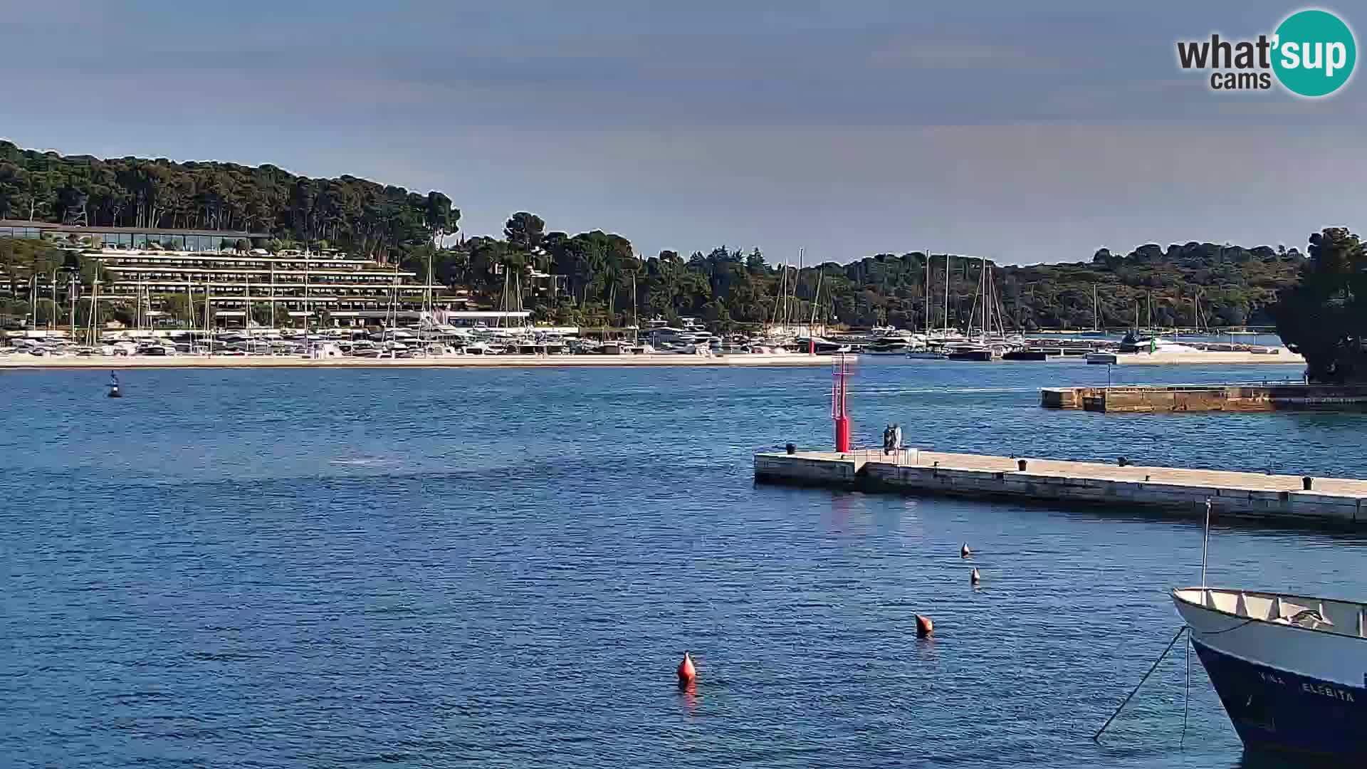 Seaside promenade and marina in Rovinj webcam – Istria – Croatia