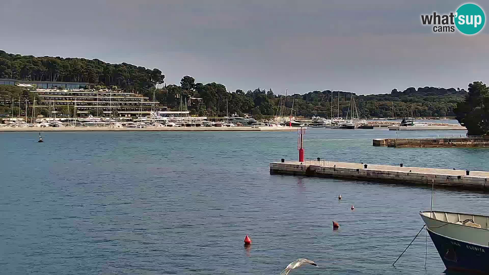 Promenade e marina en Rovinj