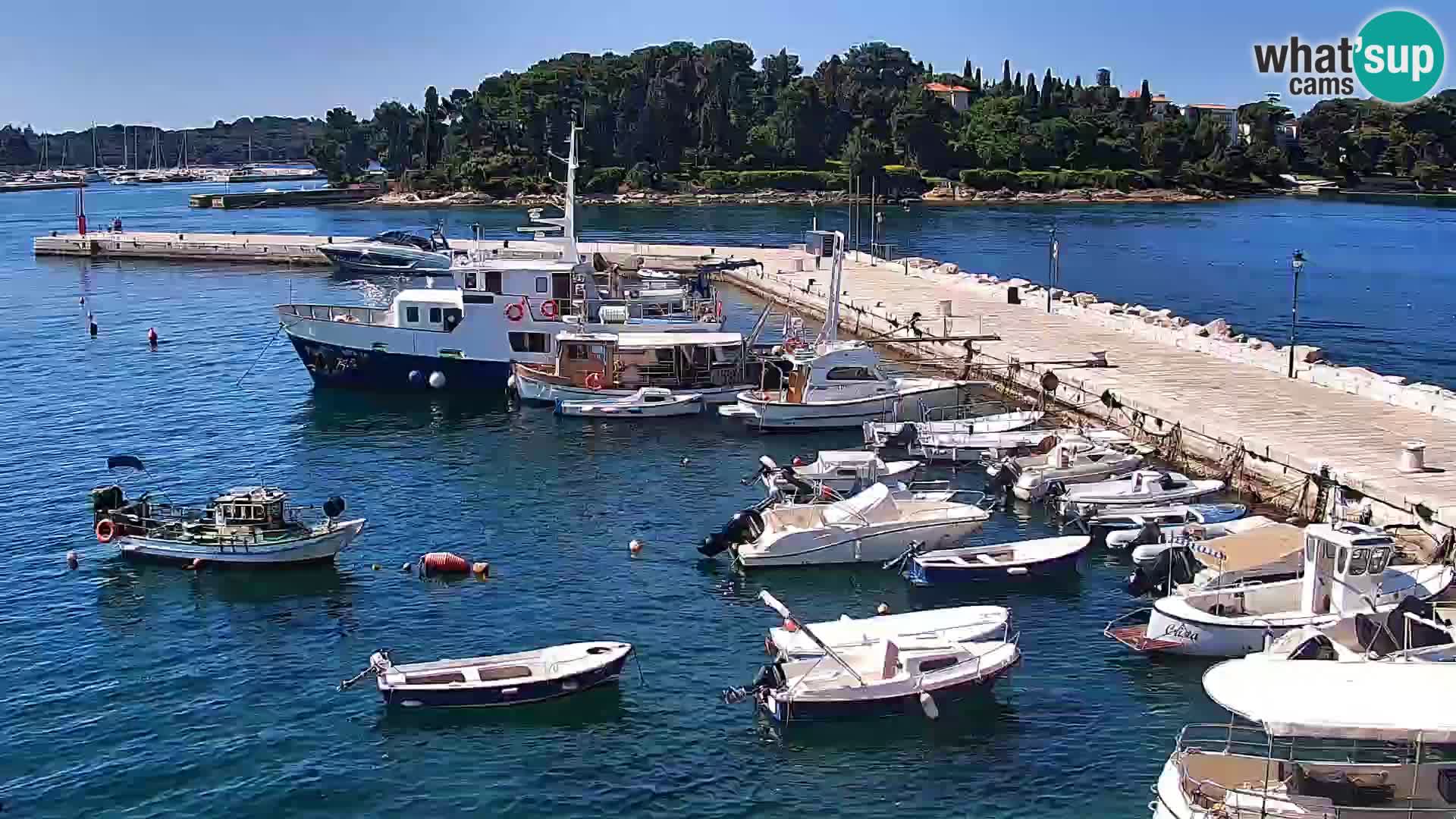 Webcam Rovinj Promenade – Istrien – Kroatien