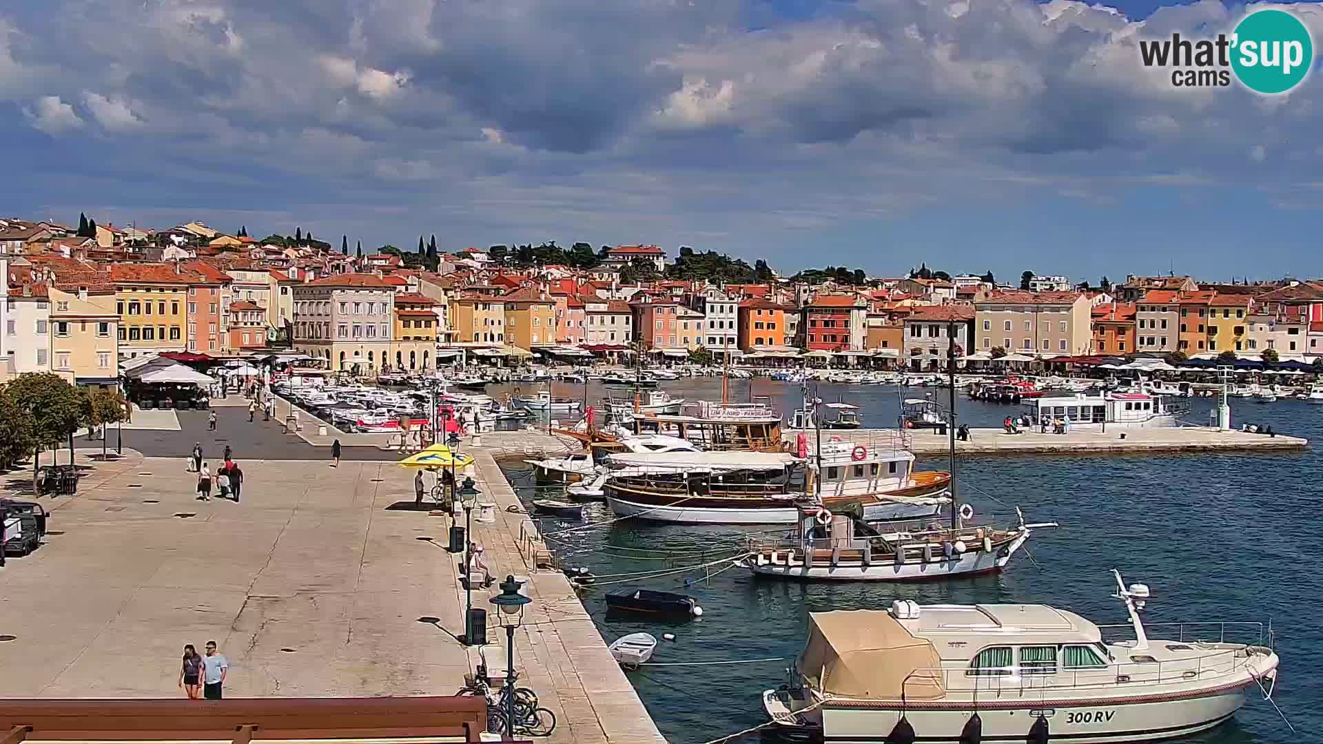 Webcam Rovigno marina | Lungomare | Rovinj Croazia
