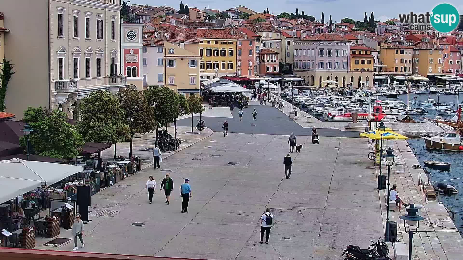 Seaside promenade and marina in Rovinj webcam – Istria – Croatia