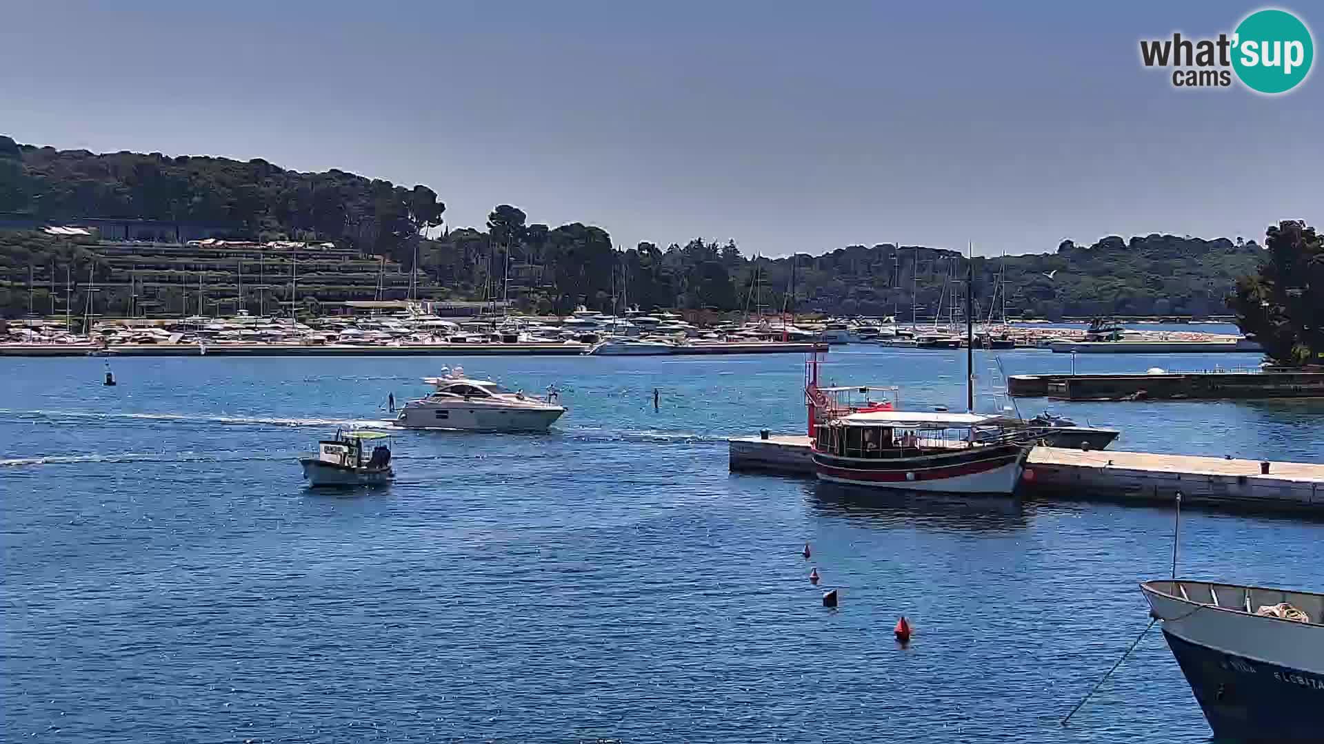 Promenade e marina en Rovinj