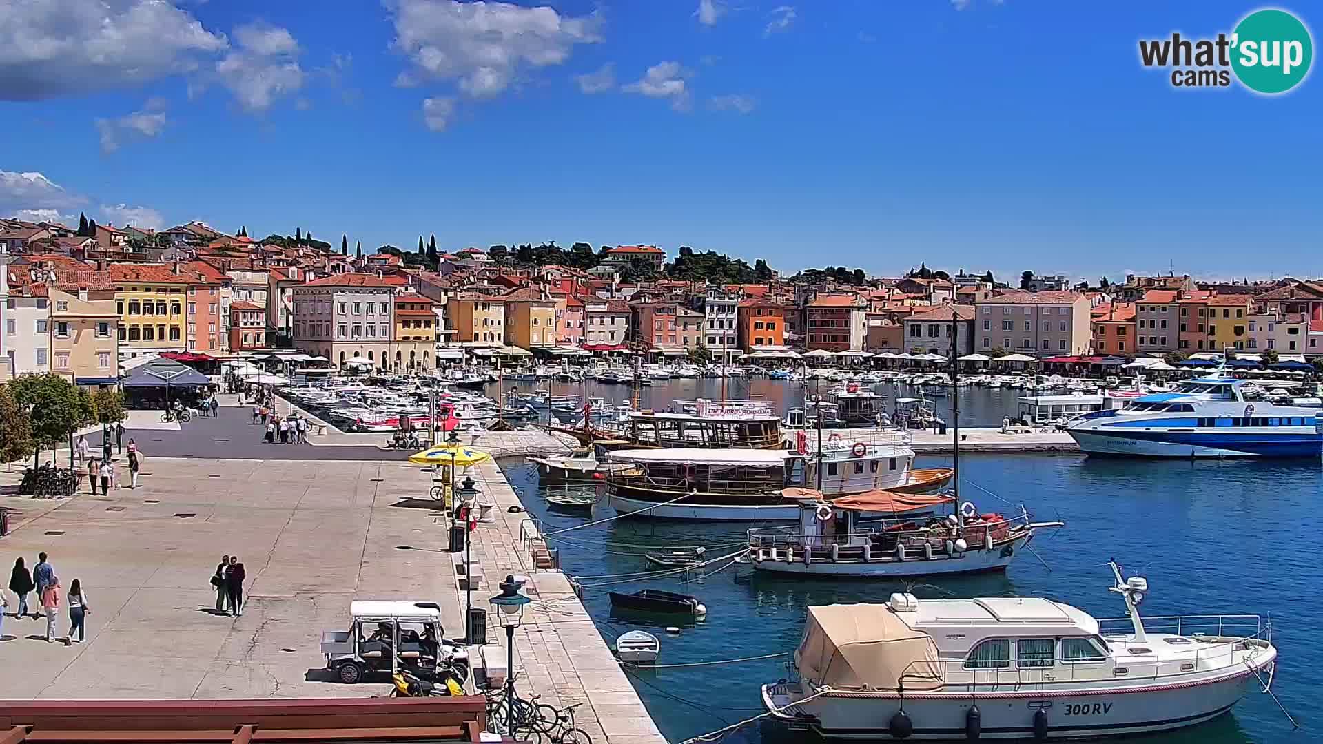 Promenada in marina v Rovinju
