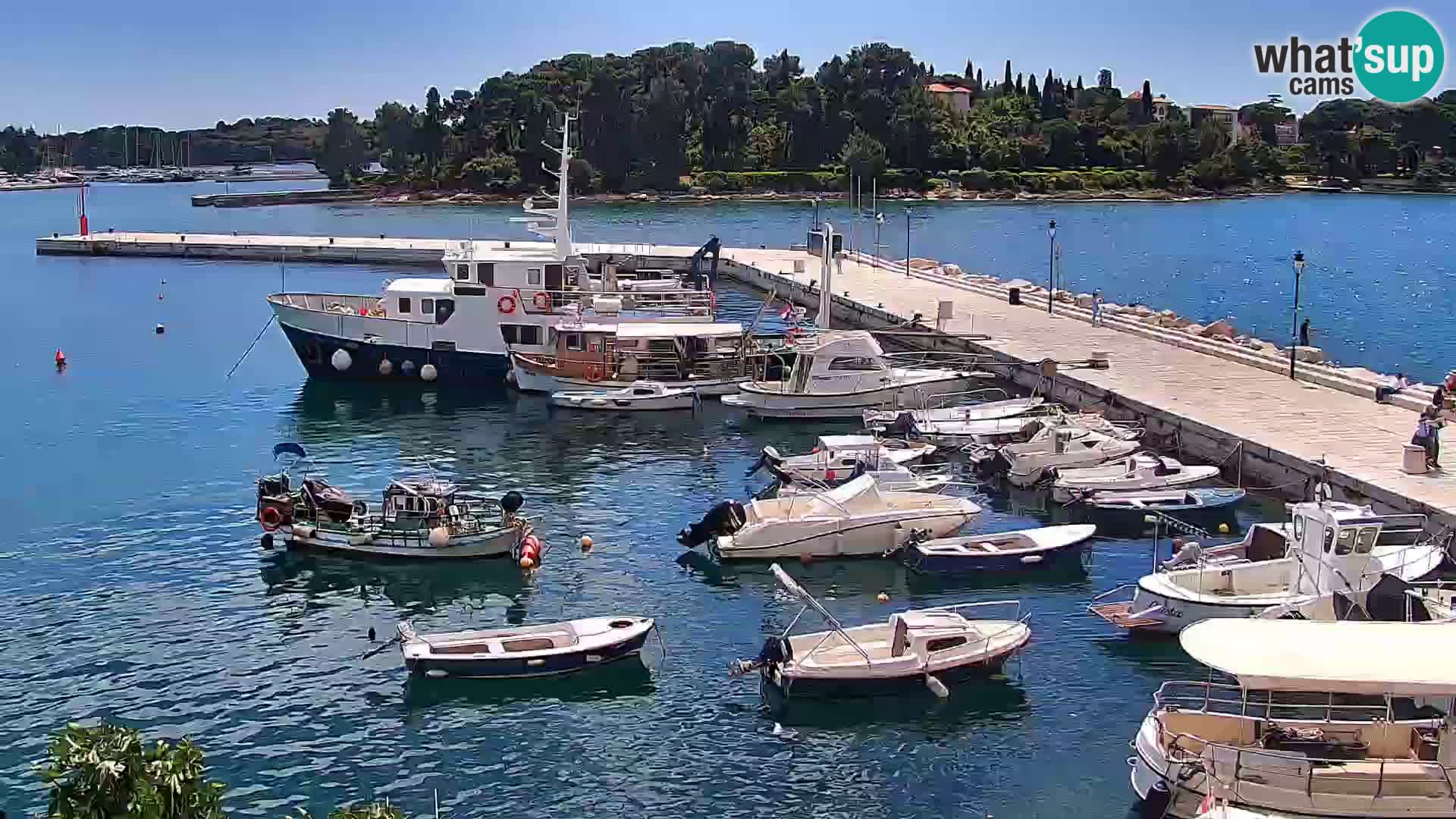 Seaside promenade and marina in Rovinj webcam – Istria – Croatia