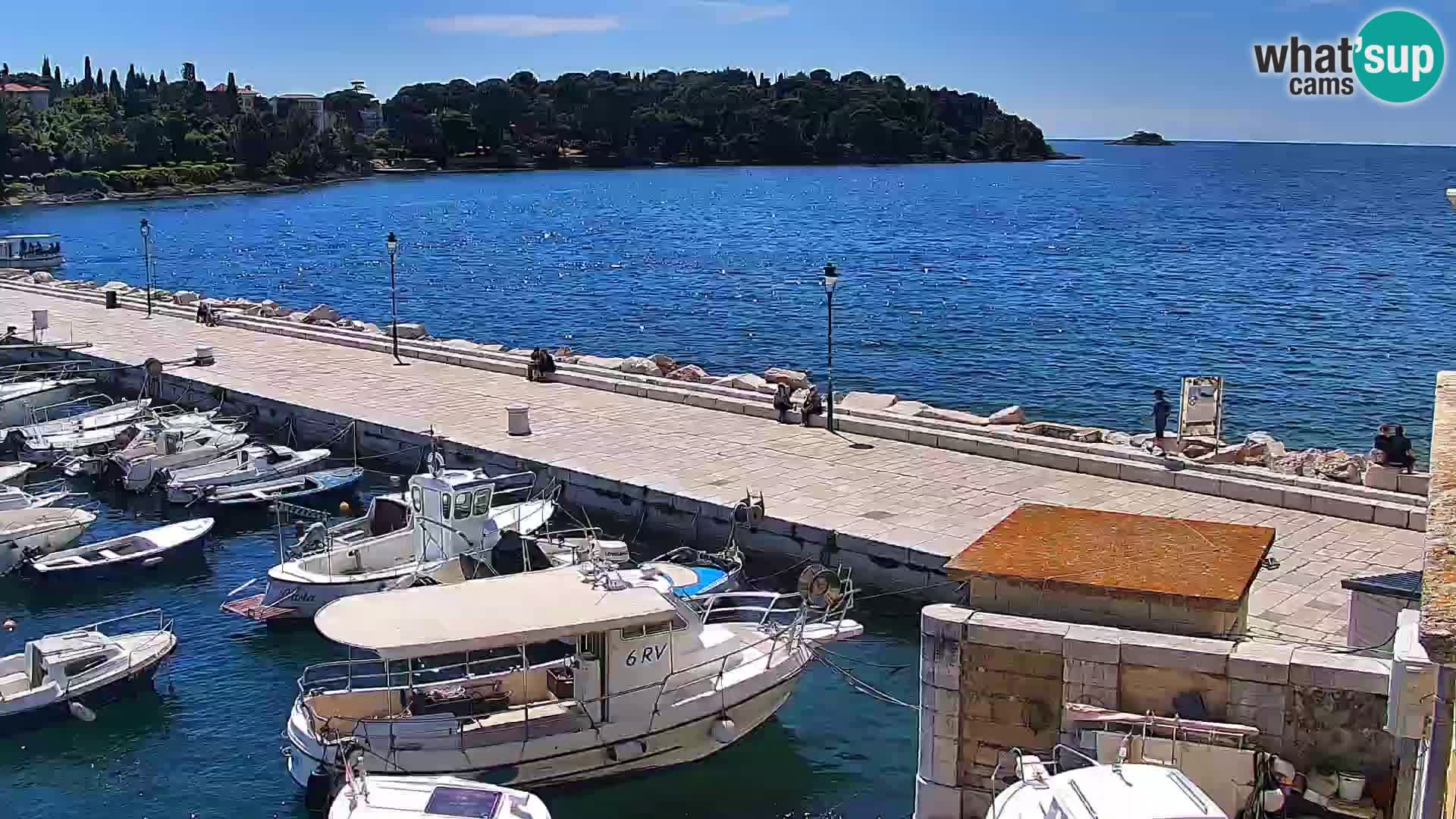 Promenada i marina u Rovinju