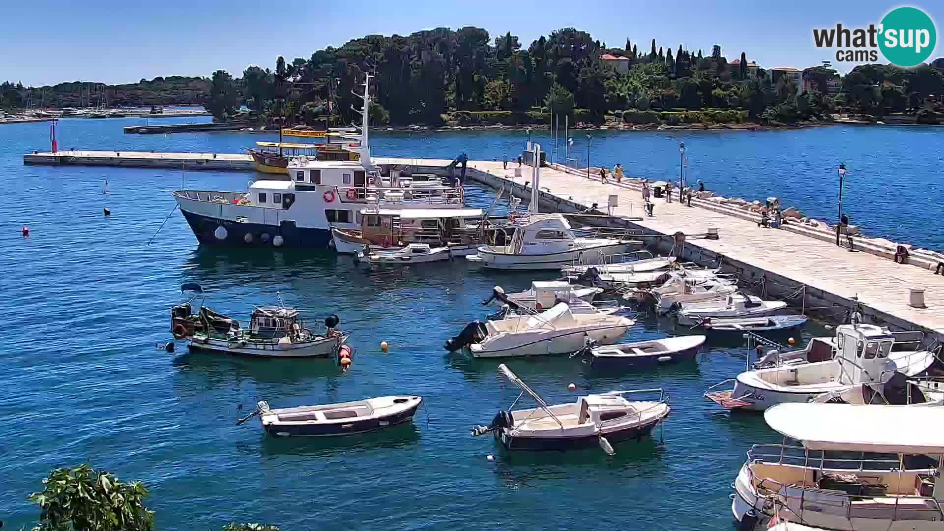 Promenade e marina en Rovinj