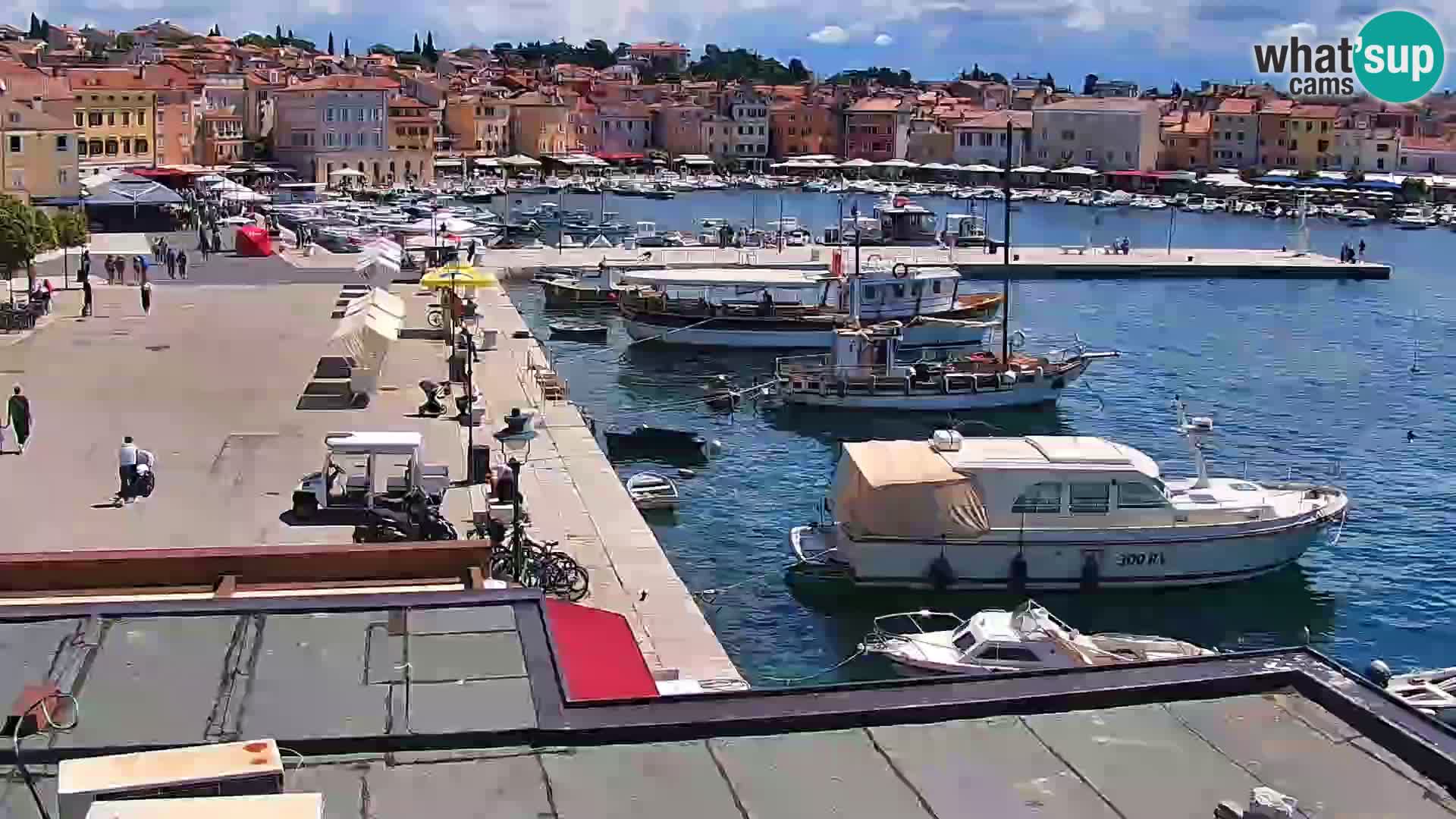 Promenada i marina u Rovinju
