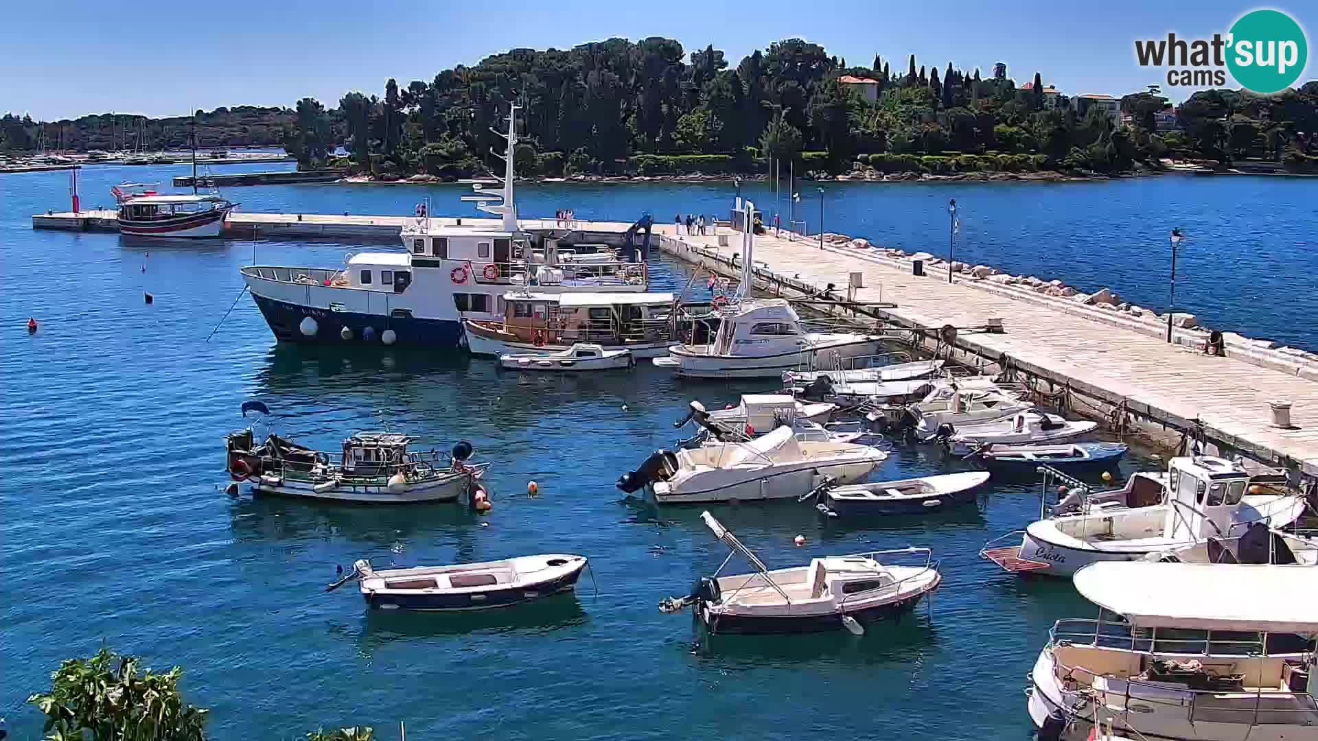 Promenada in marina v Rovinju