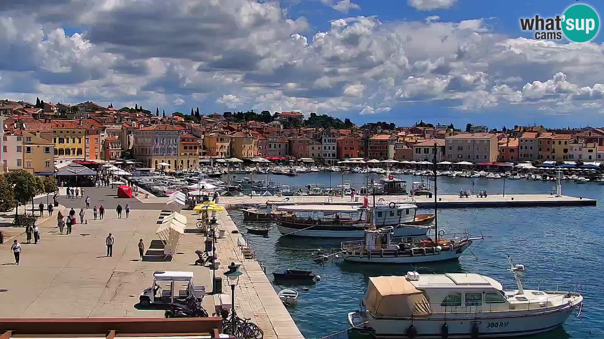 Webcam Rovinj Promenade – Istrien – Kroatien
