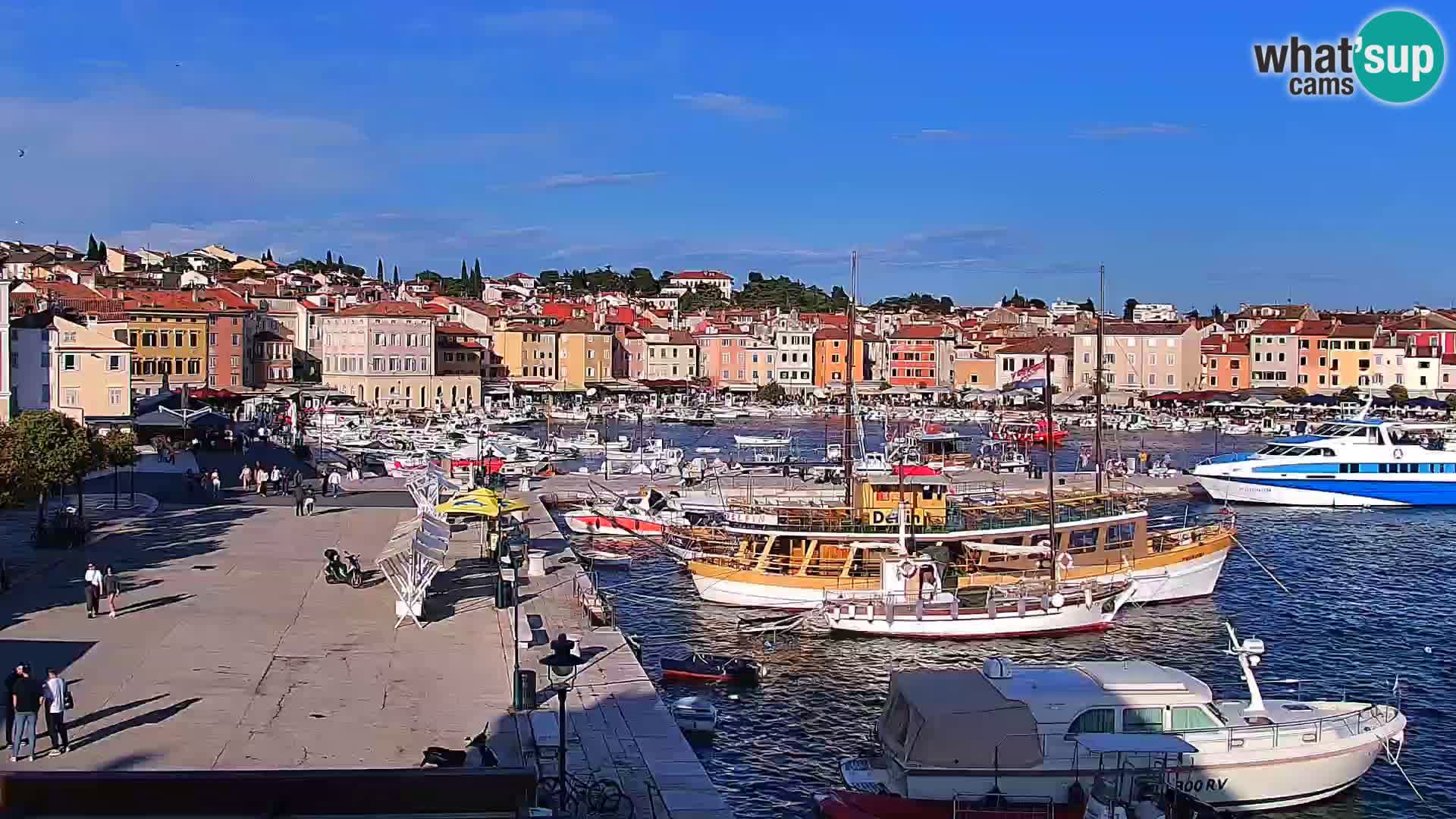 Rovinj webcam promenade and marina – Istria – Croatia