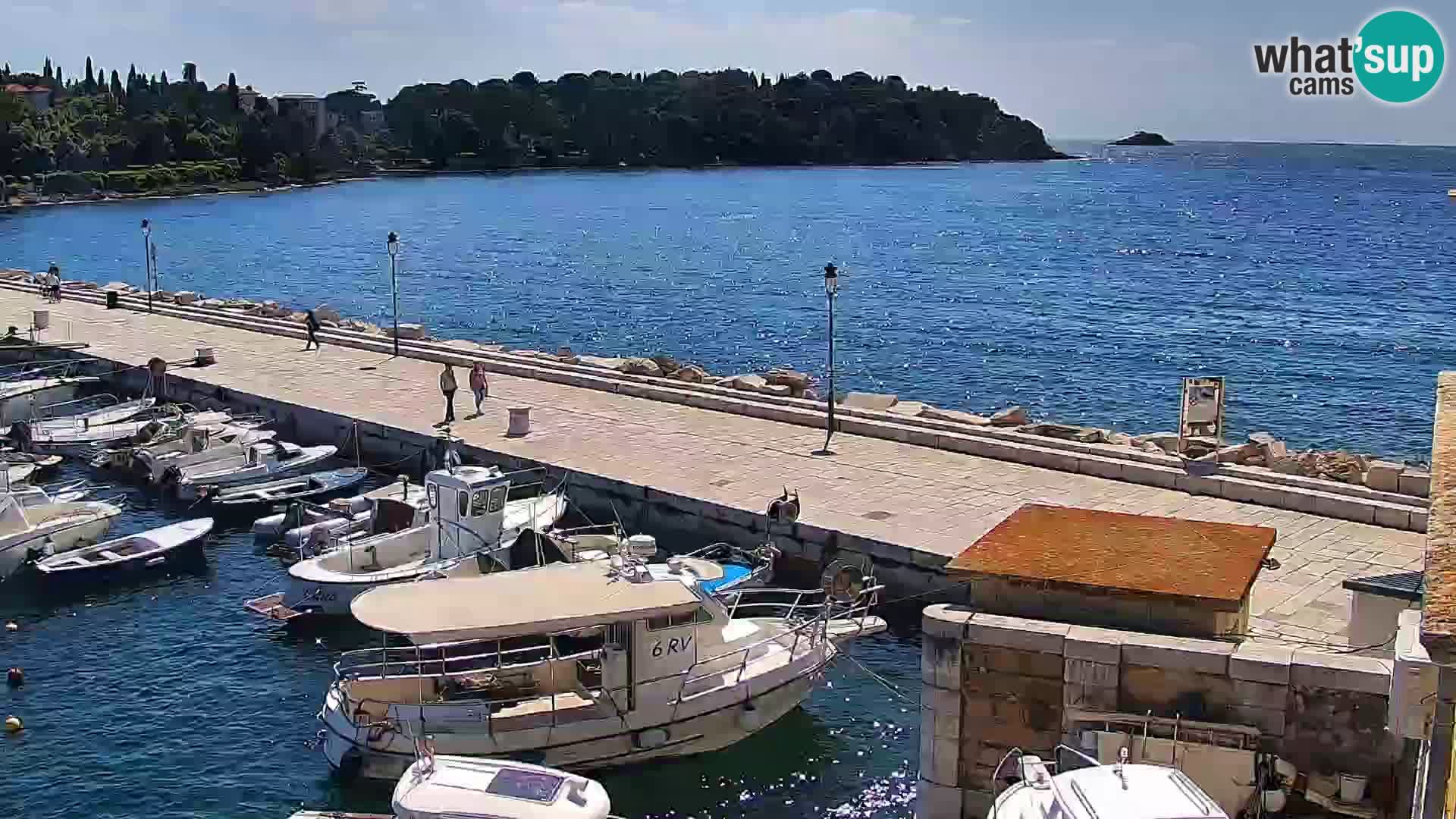 Promenada i marina u Rovinju