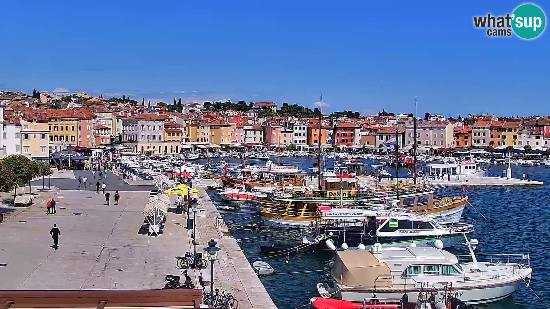 Seaside promenade and marina in Rovinj webcam – Istria – Croatia