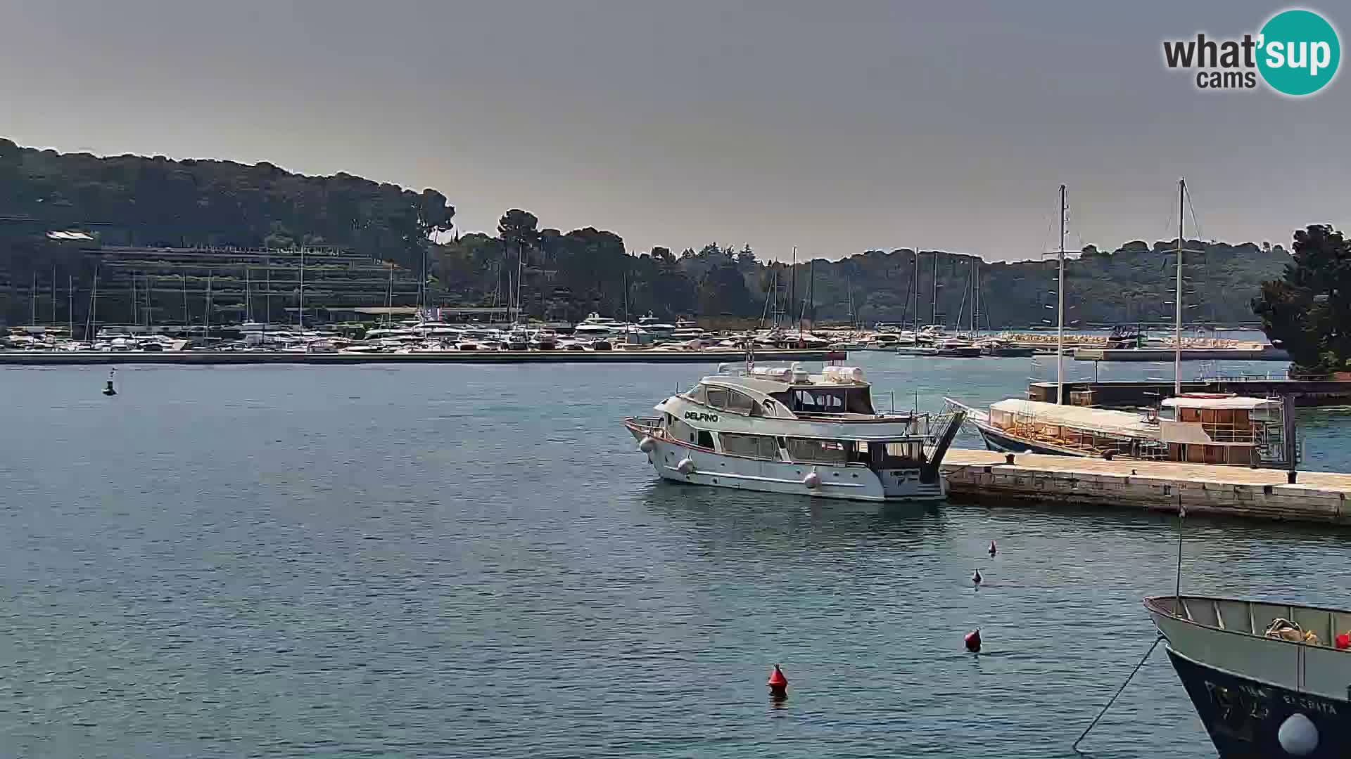 Promenade e marina en Rovinj