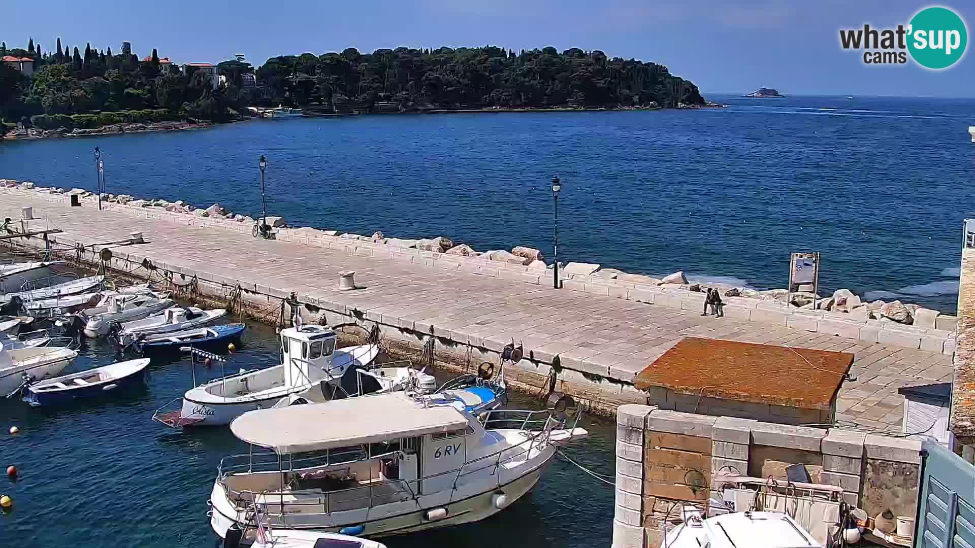 Seaside promenade and marina in Rovinj webcam – Istria – Croatia