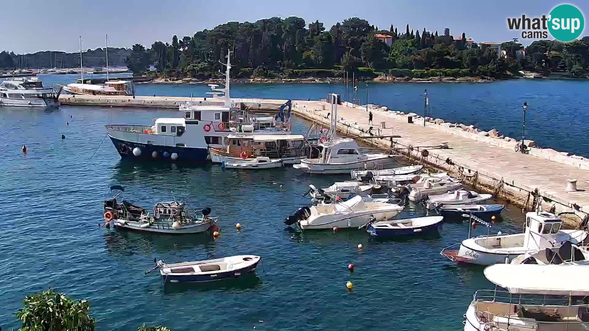 Seaside promenade and marina in Rovinj webcam – Istria – Croatia