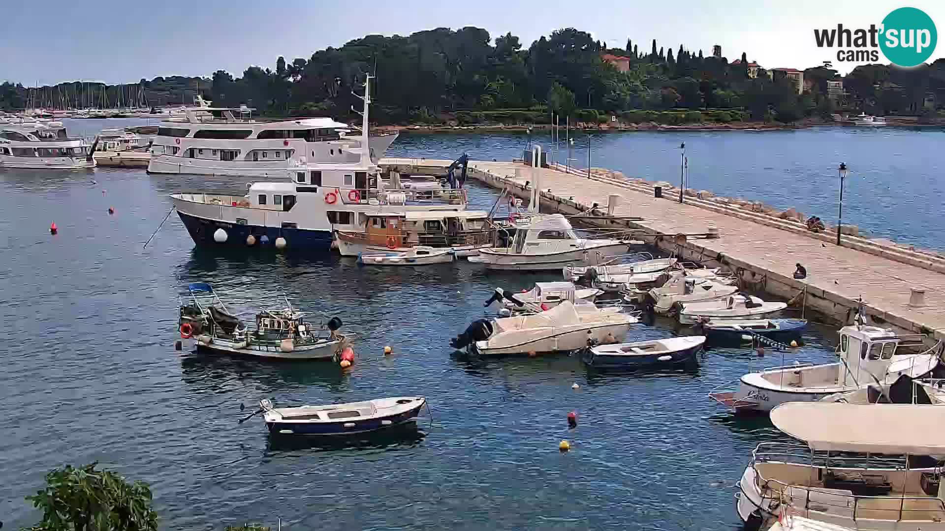 Promenade und marina in Rovinj webcam – Istrien – Kroatien