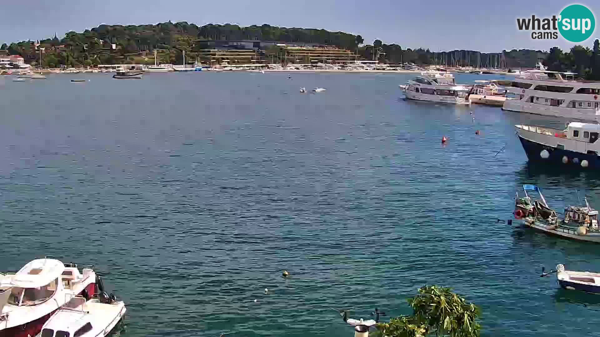Promenade e marina en Rovinj