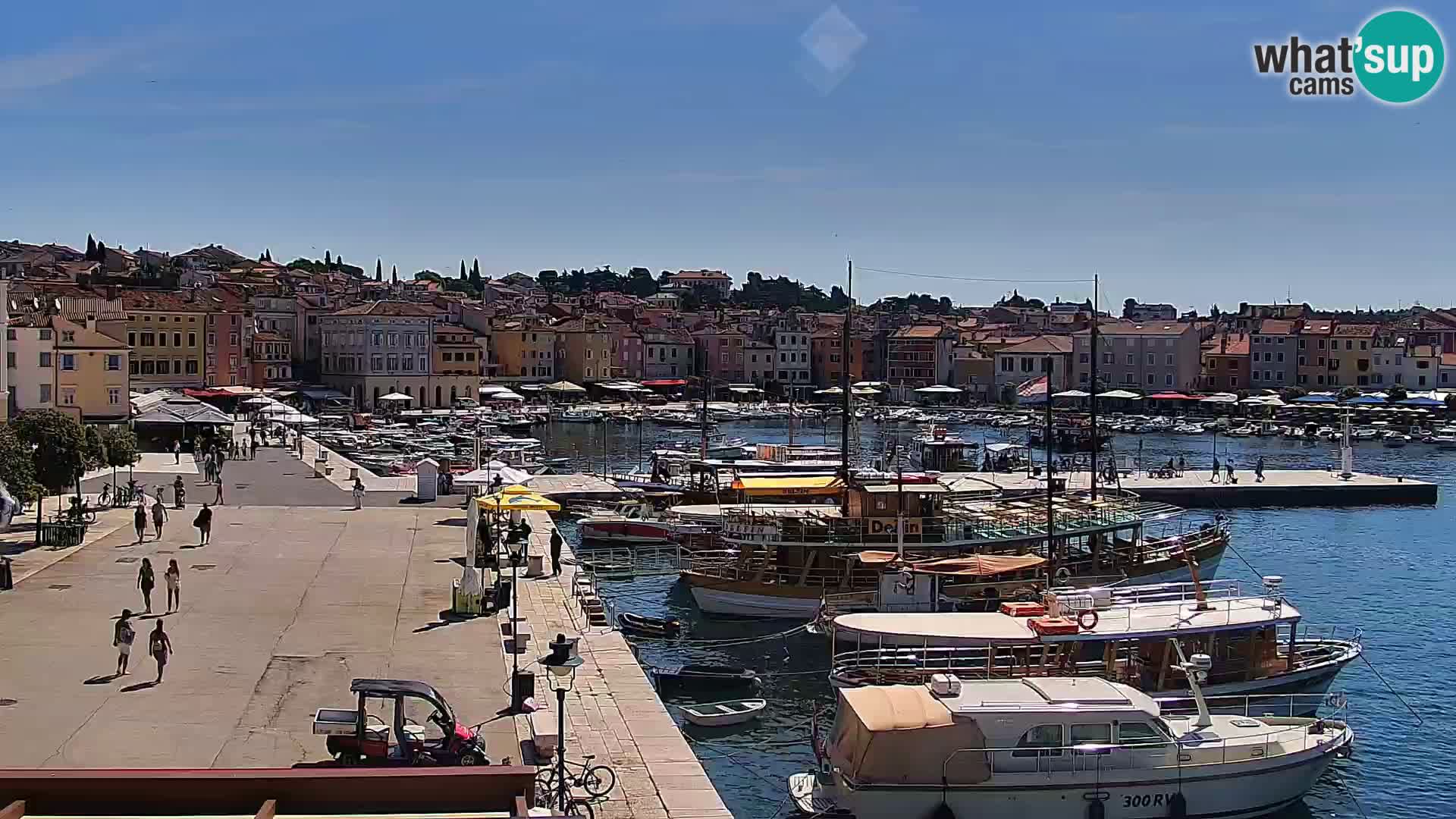Rovinj webcam promenade and marina – Istria – Croatia