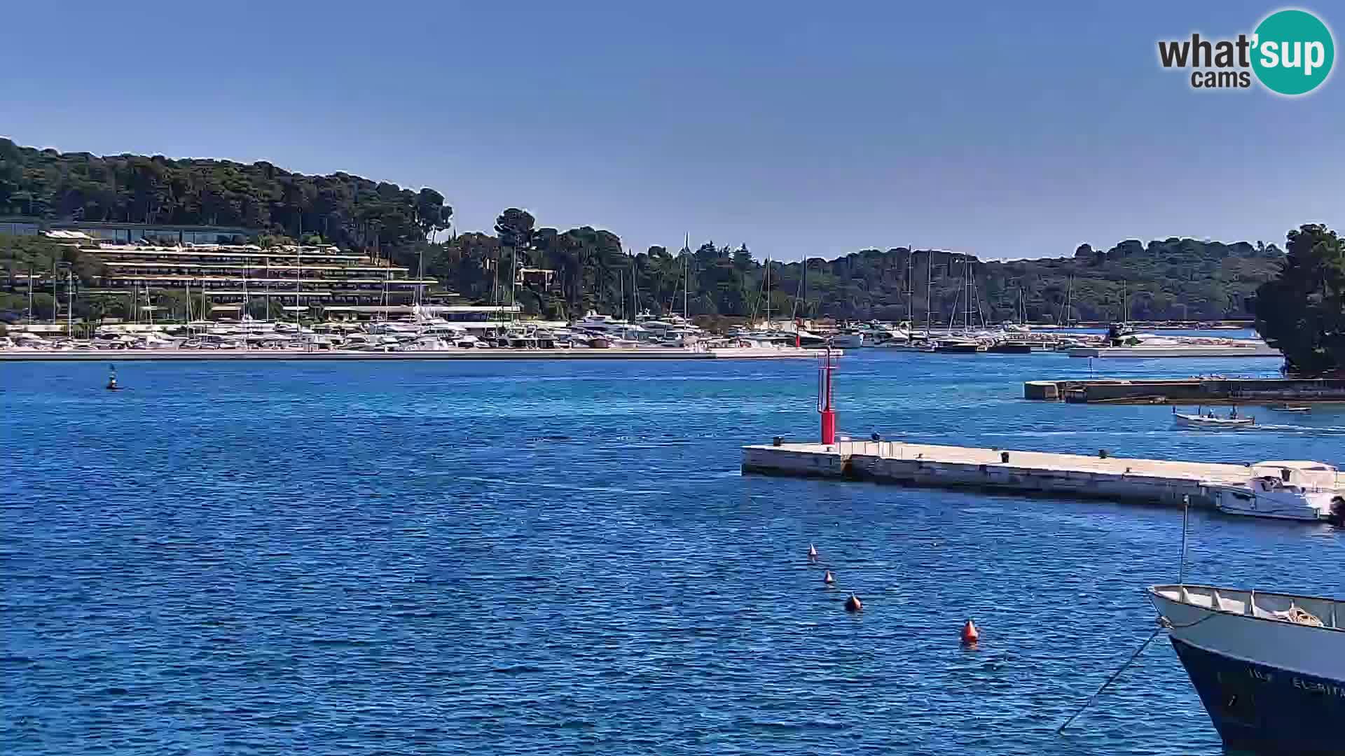 Rovinj webcam promenade and marina – Istria – Croatia