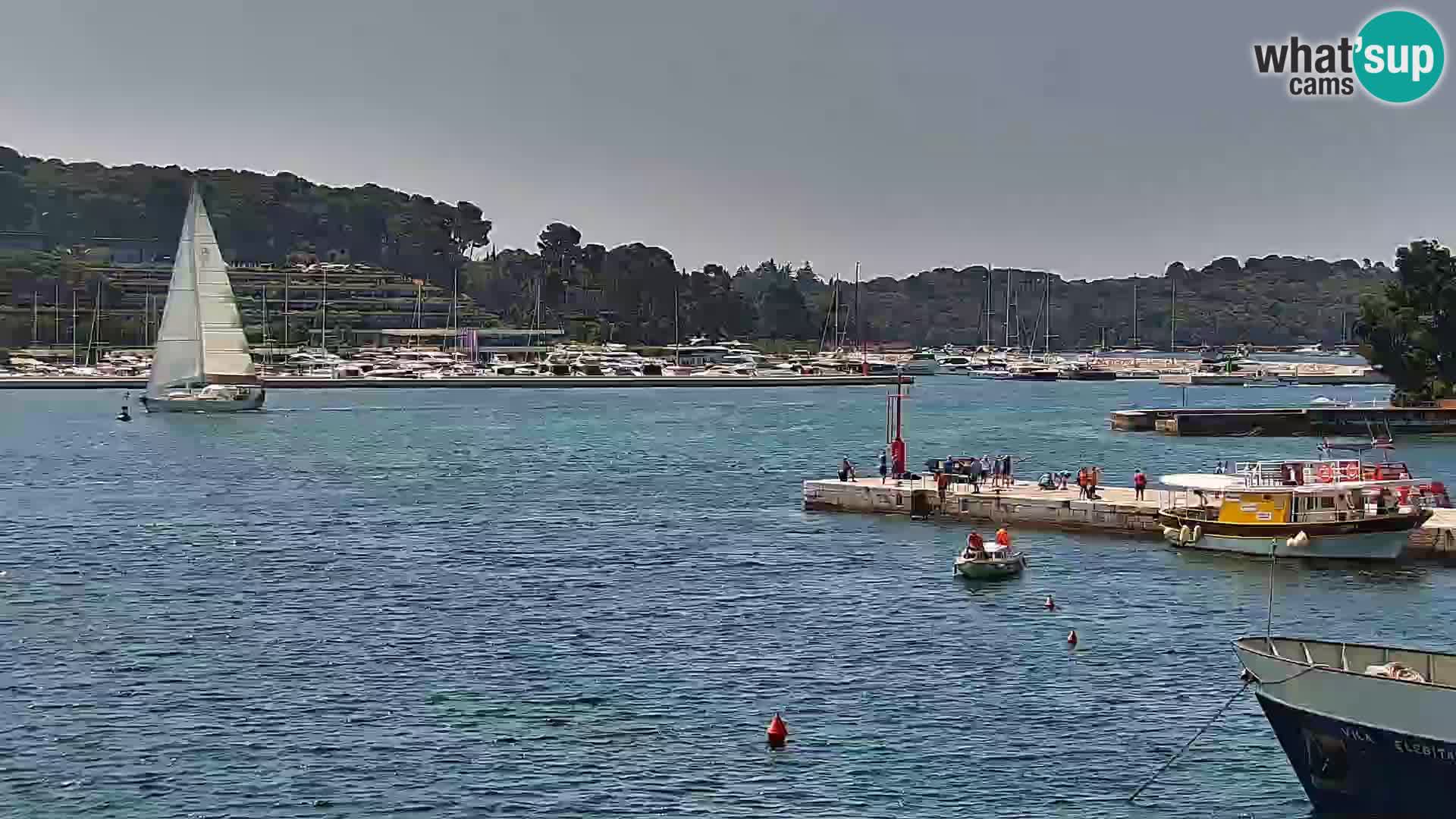 Webcam Rovinj Promenade – Istrien – Kroatien